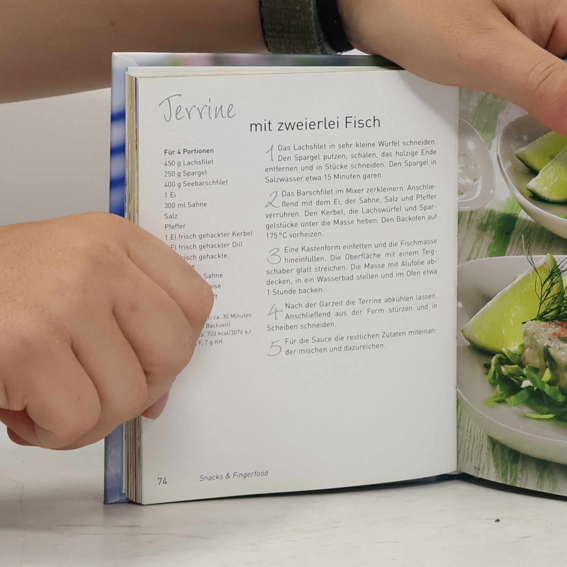 Autorenkollektiv Fisch