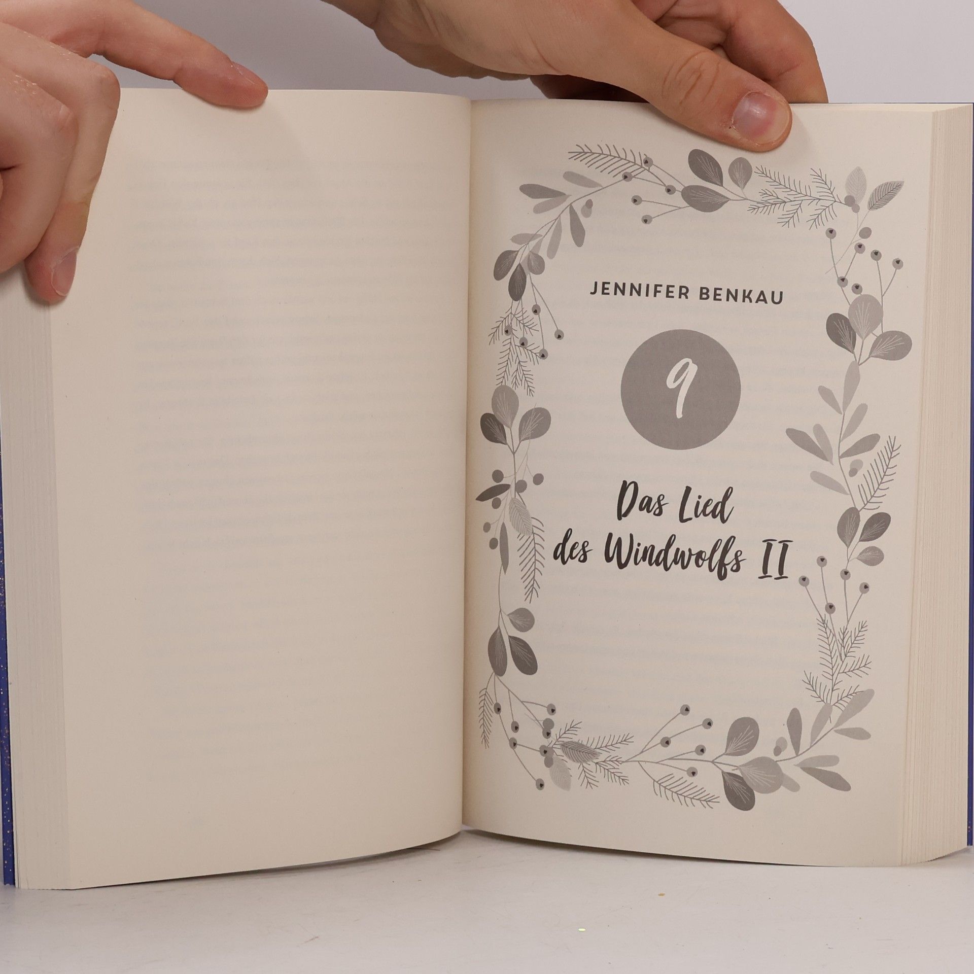 Bianca Iosivoni December Dreams. Ein Adventskalender, 24 Lovestorys