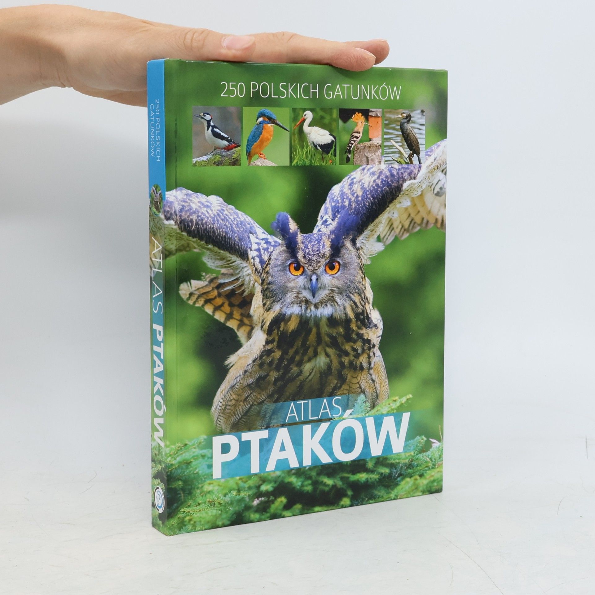 Dominik Marchowski Atlas ptaków