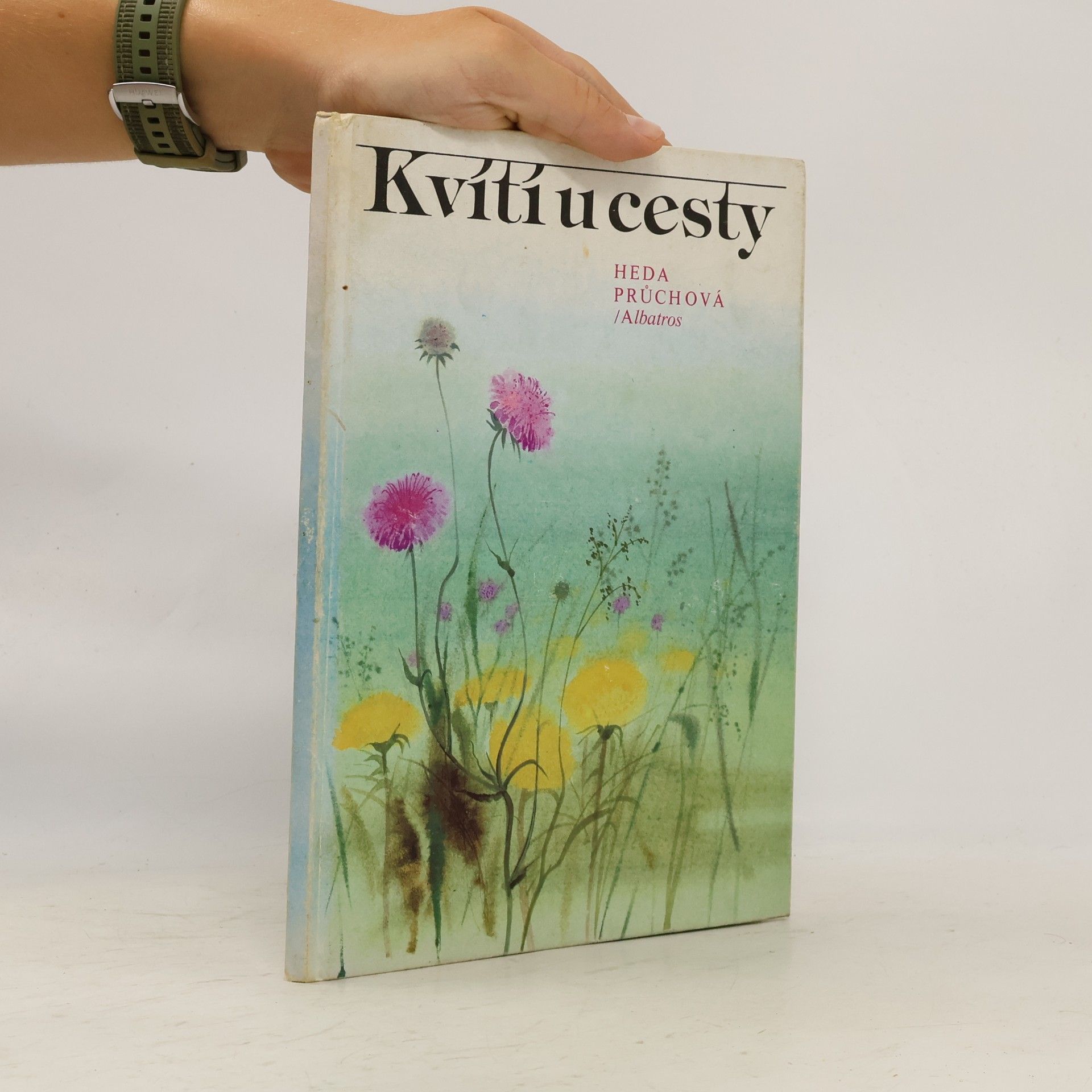 Průchová Heda Kvítí u cesty