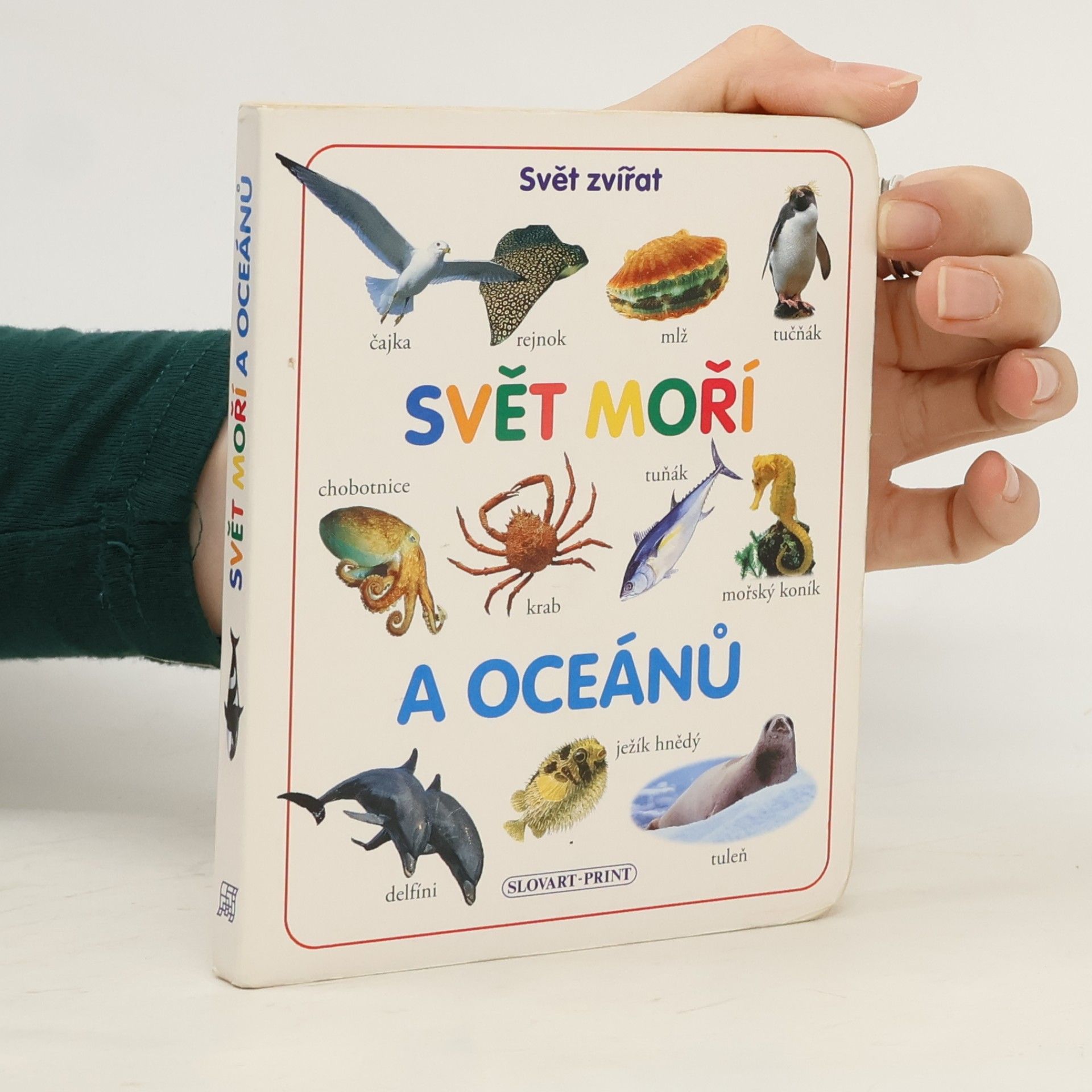 Autorenkollektiv Svět moří a oceánů