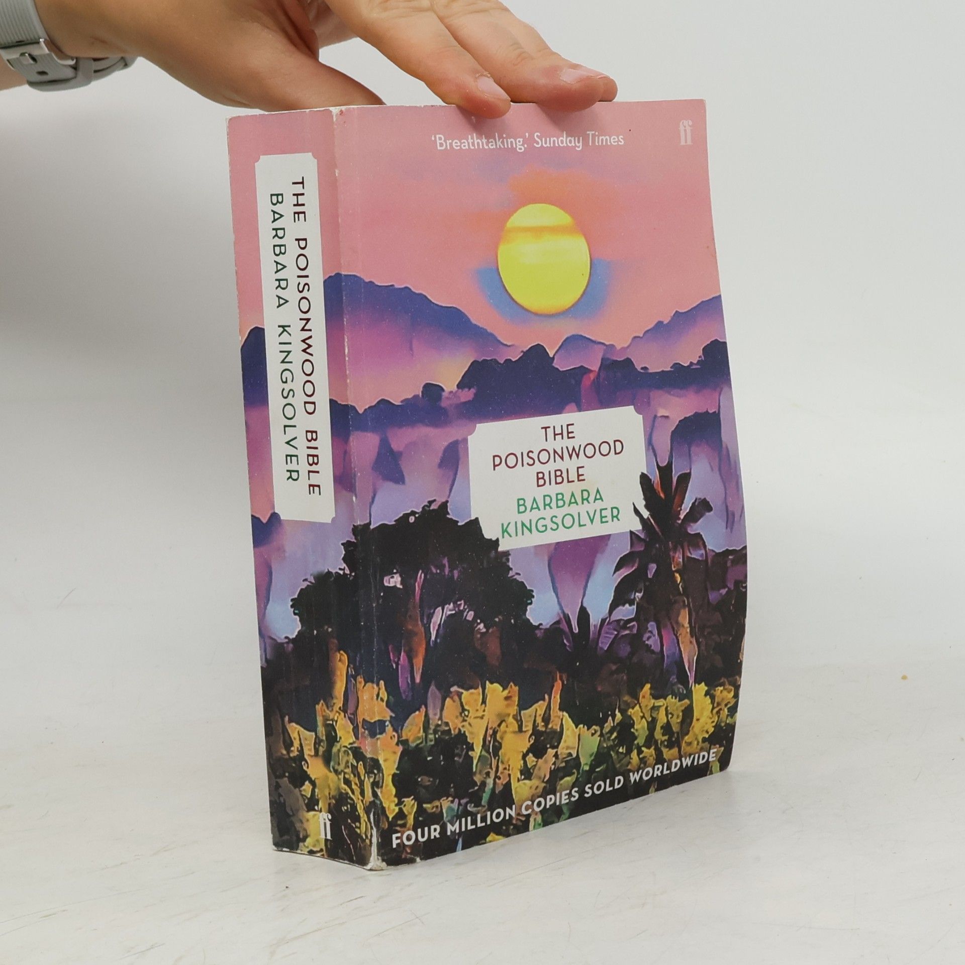 Barbara Kingsolver The Poisonwood Bible