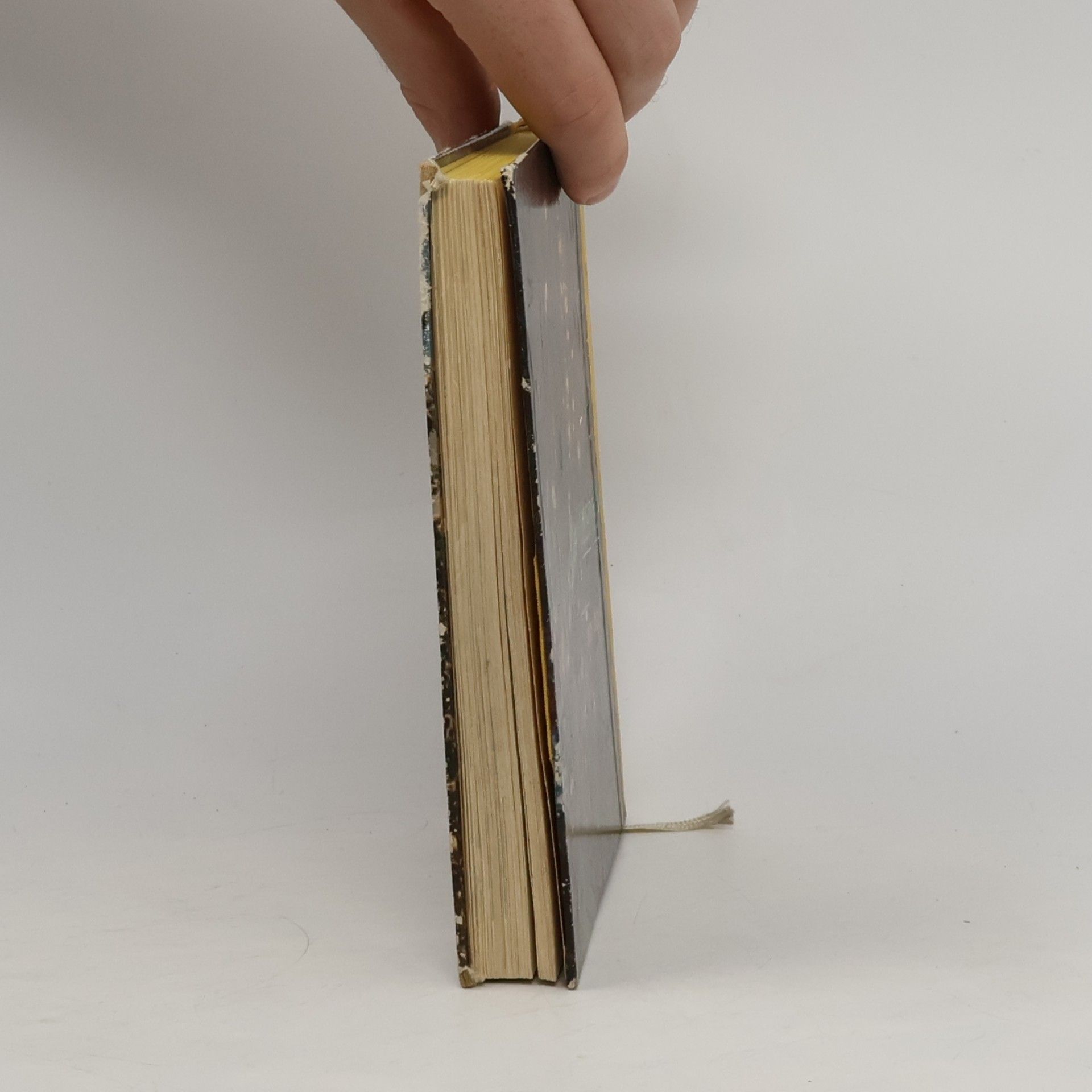 Collectif d'auteurs Praha. Guidebook