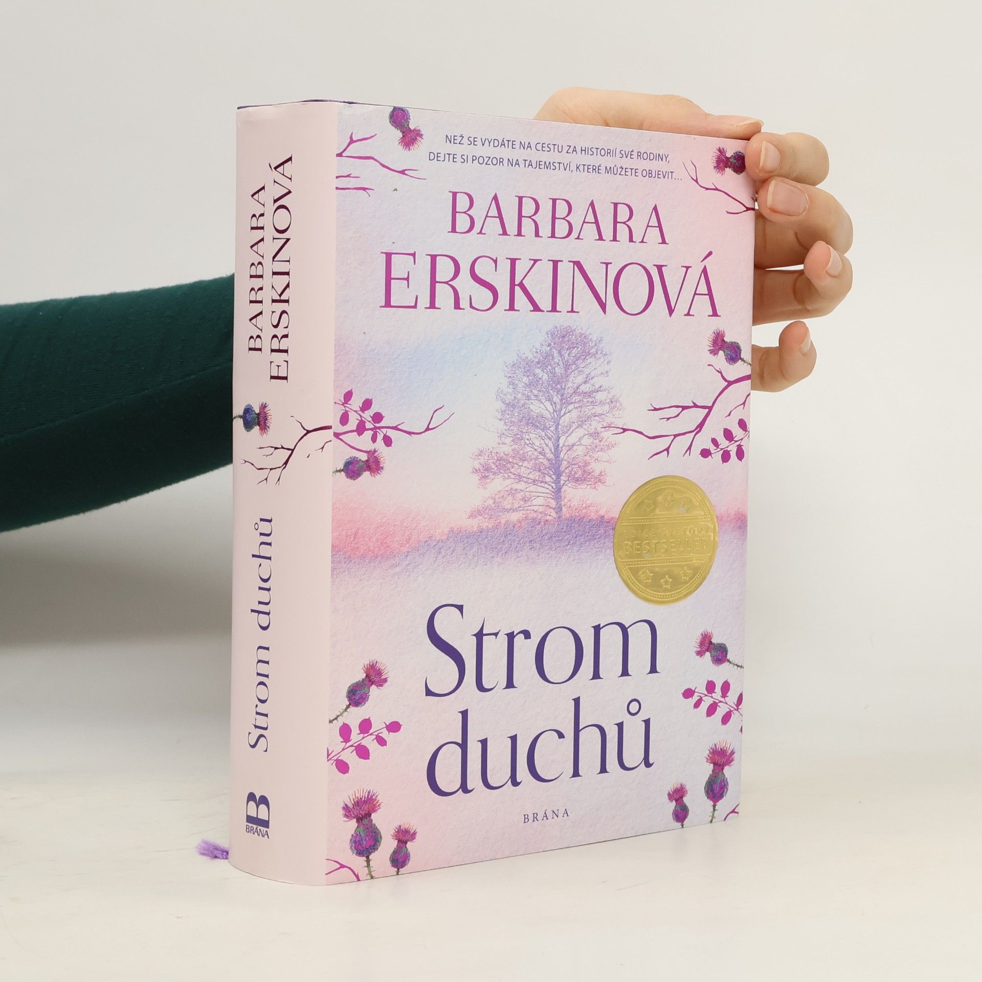 Barbara Erskine Strom duchů