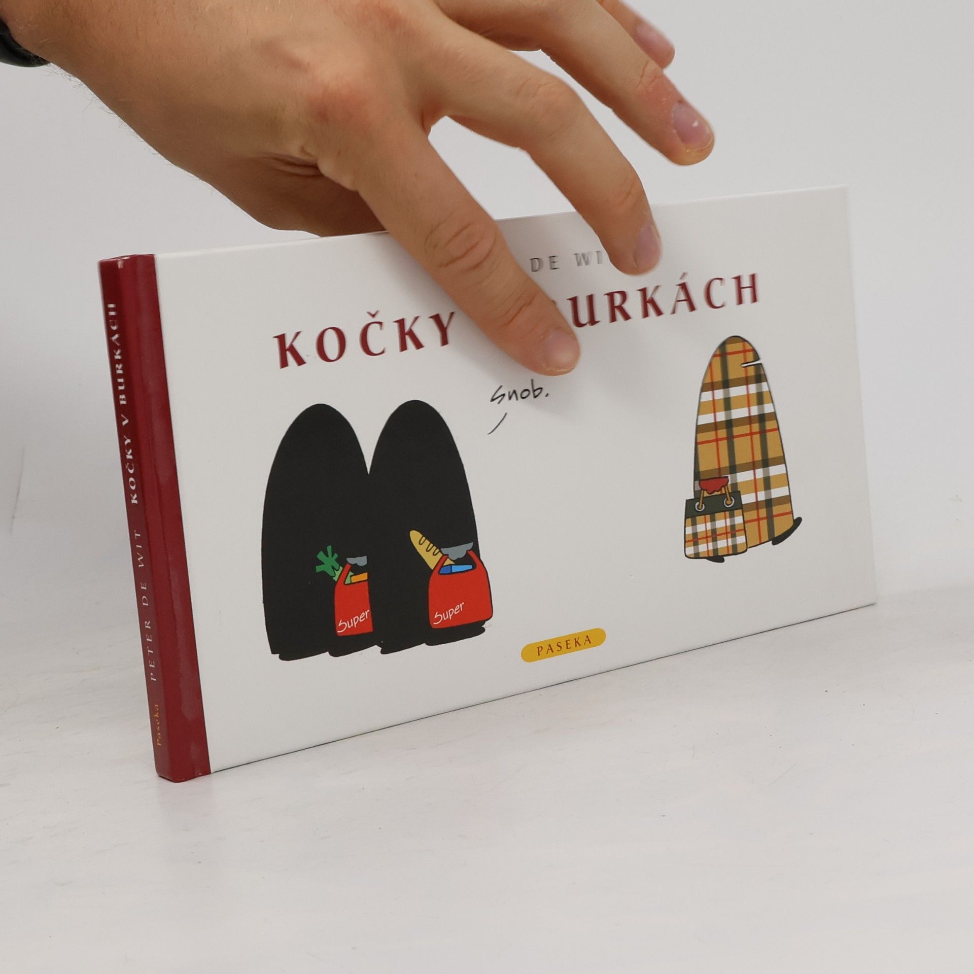 Peter de Wit Kočky v burkách