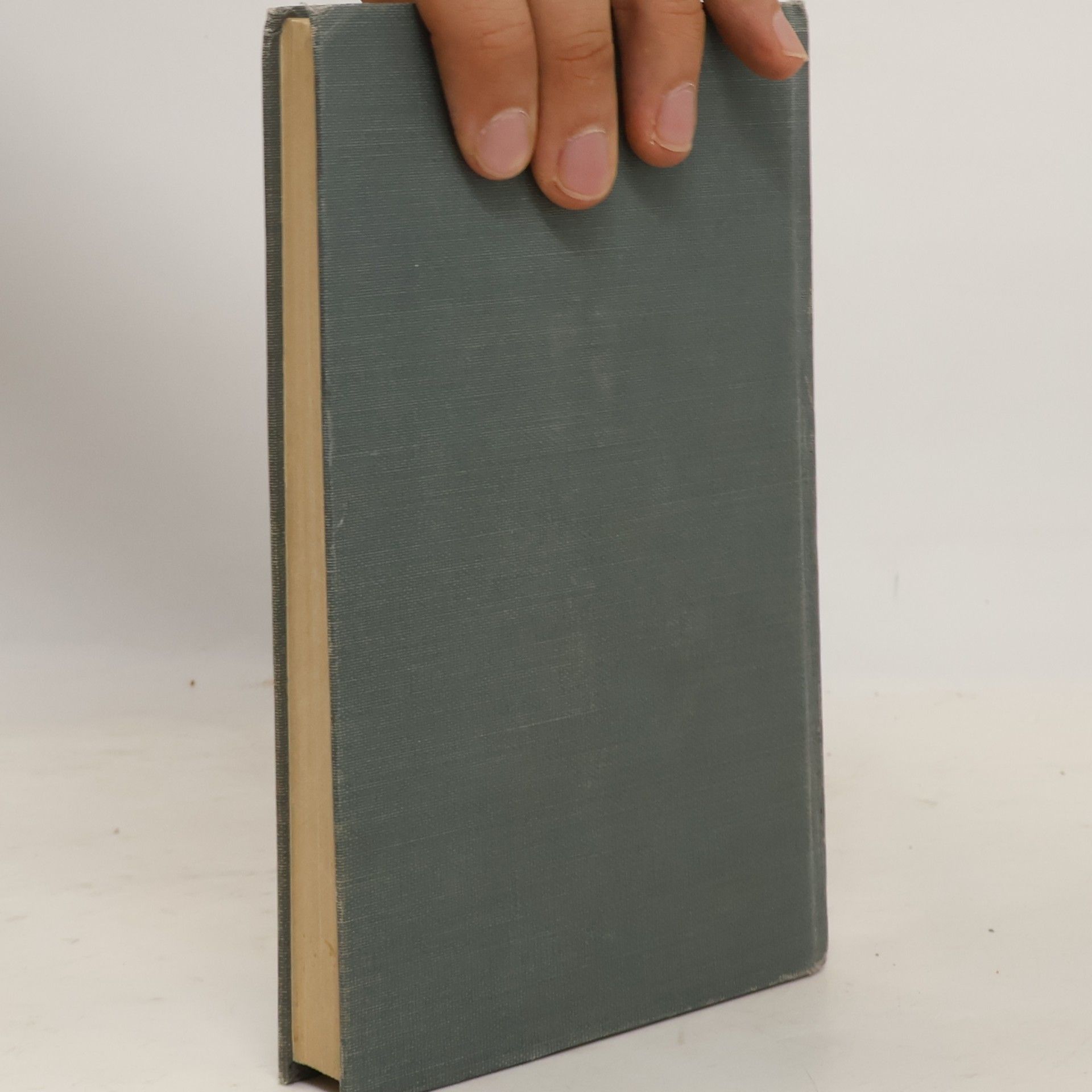 Karel Čapek Obyčejný život