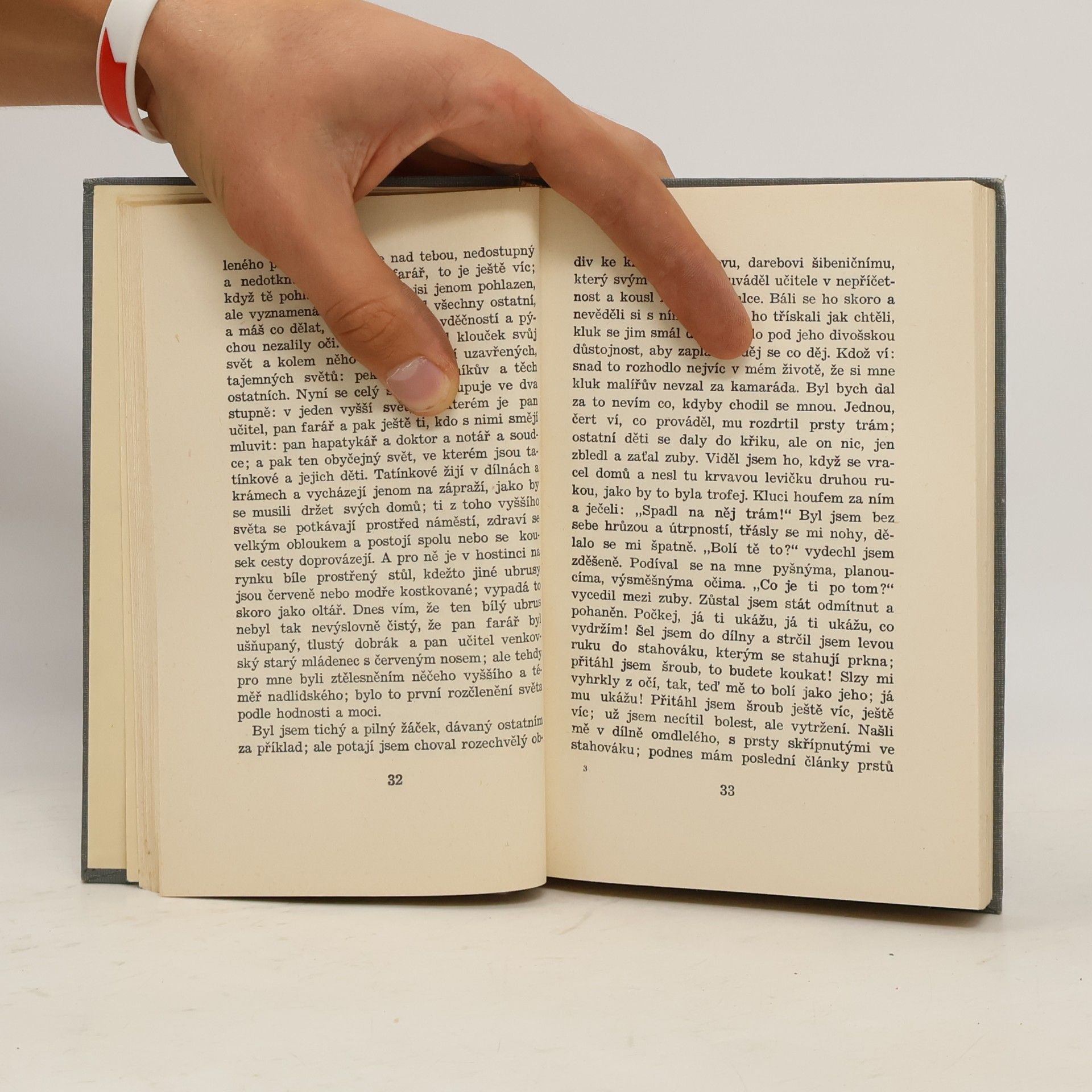 Karel Čapek Obyčejný život