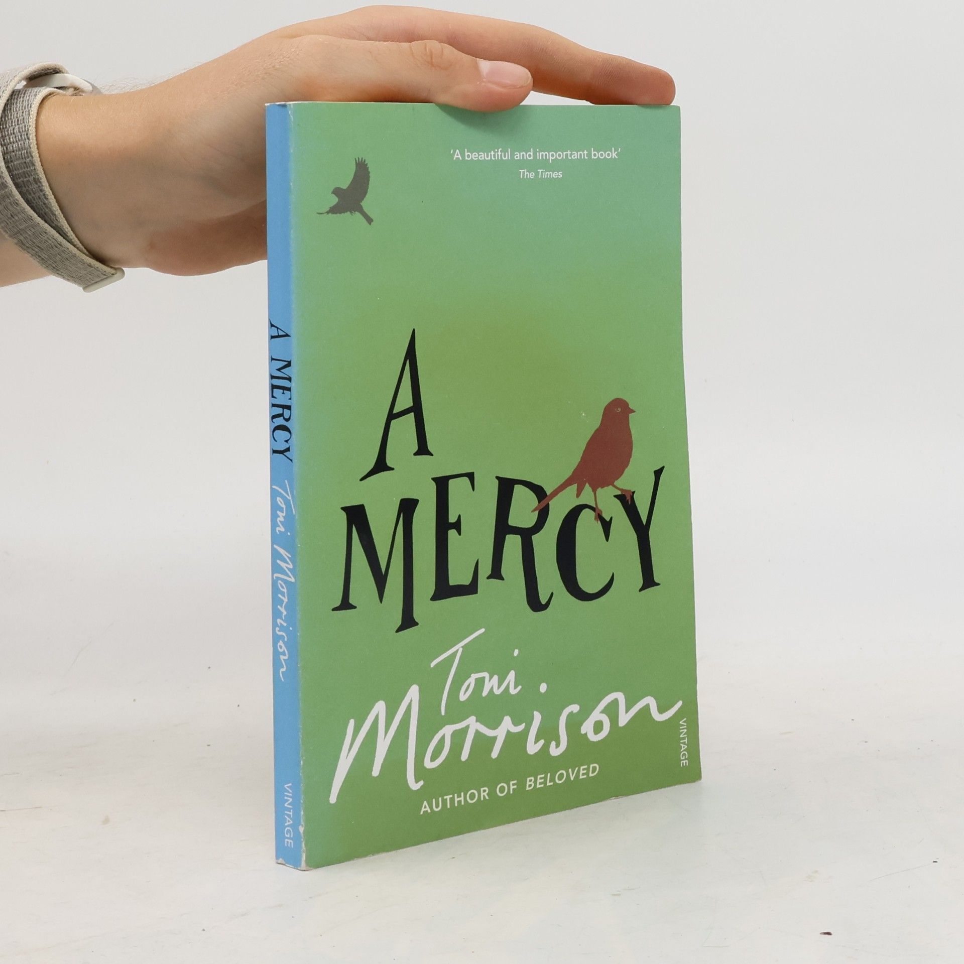 Toni Morrison A Mercy