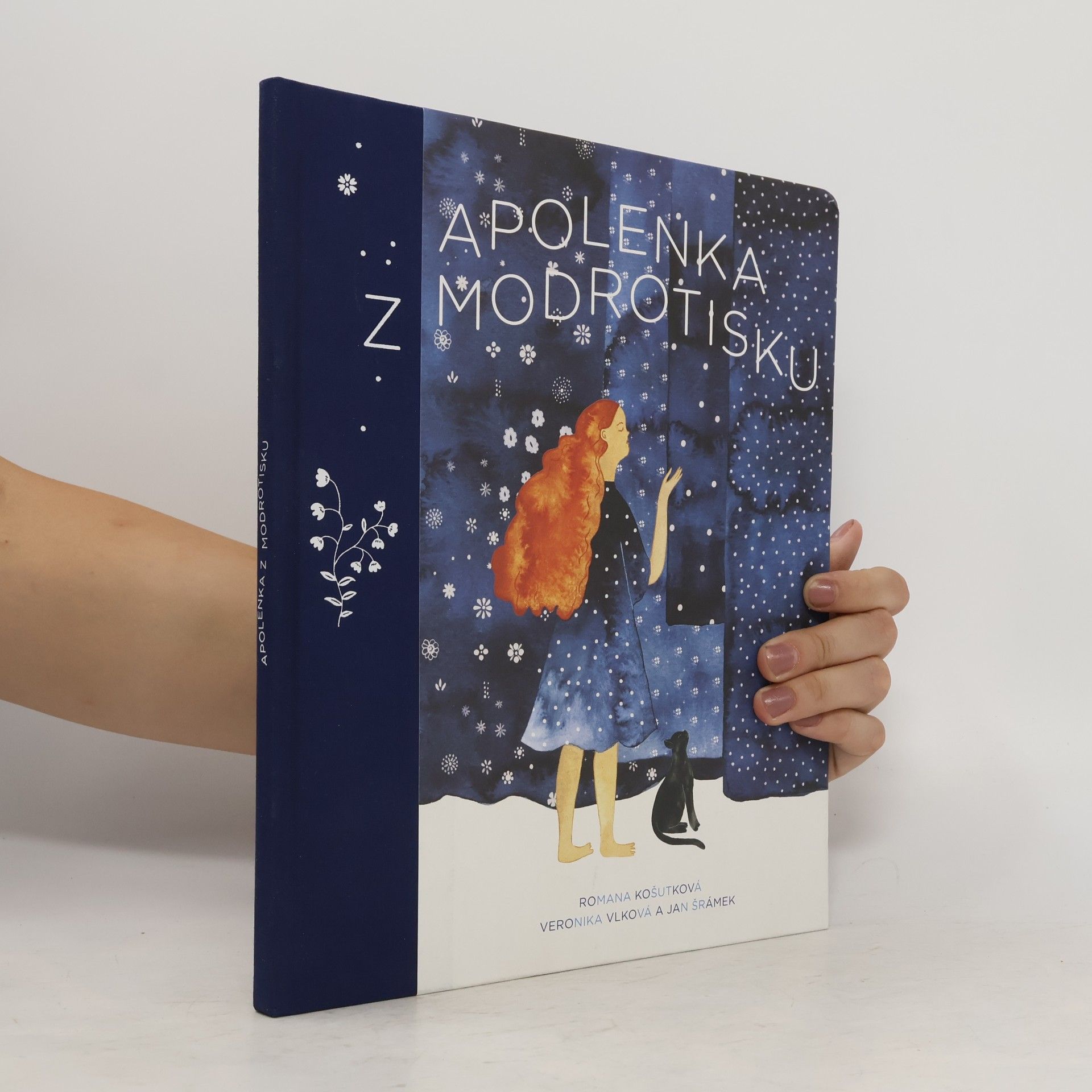 Jan Šrámek Apolenka z modrotisku