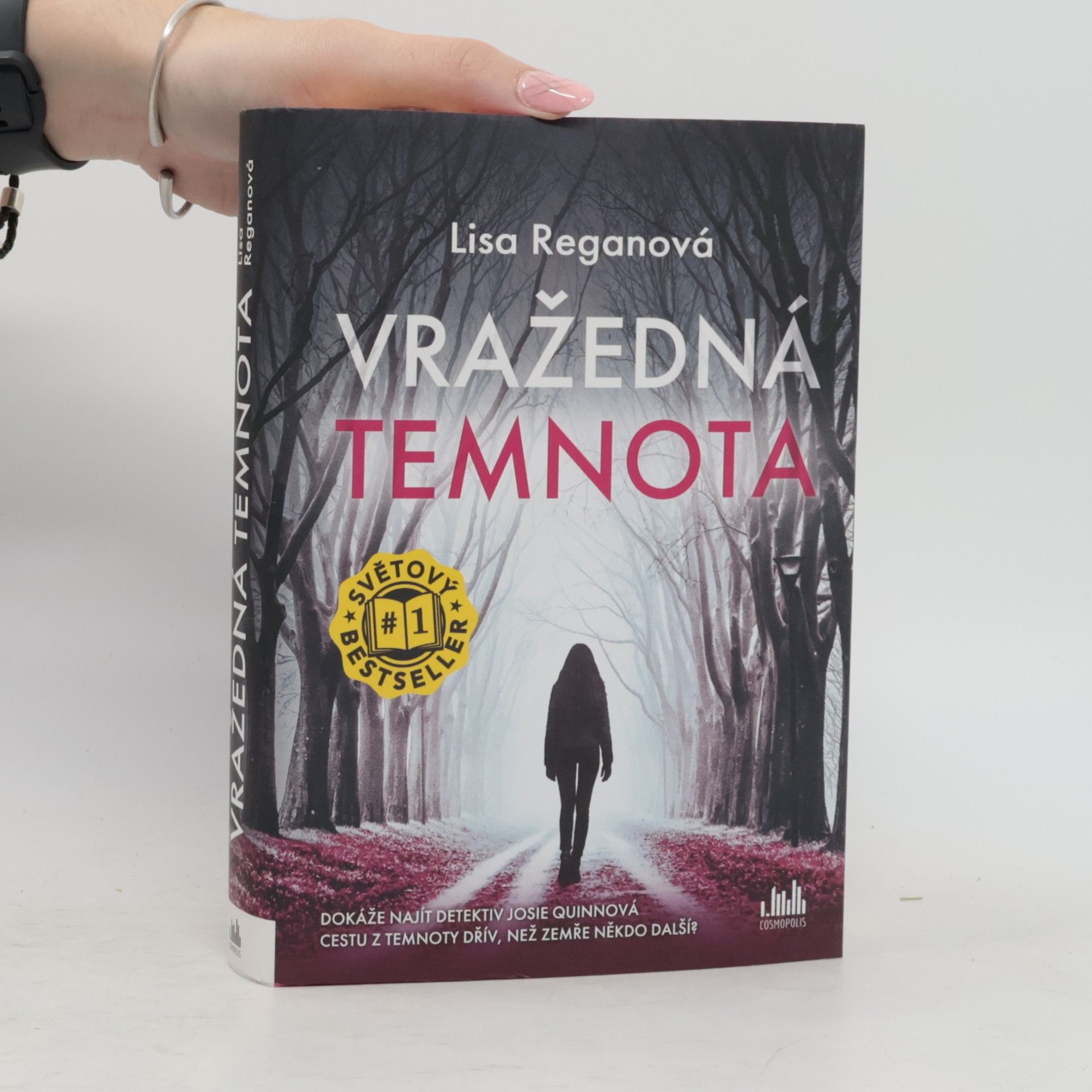 Lisa Regan Vražedná temnota
