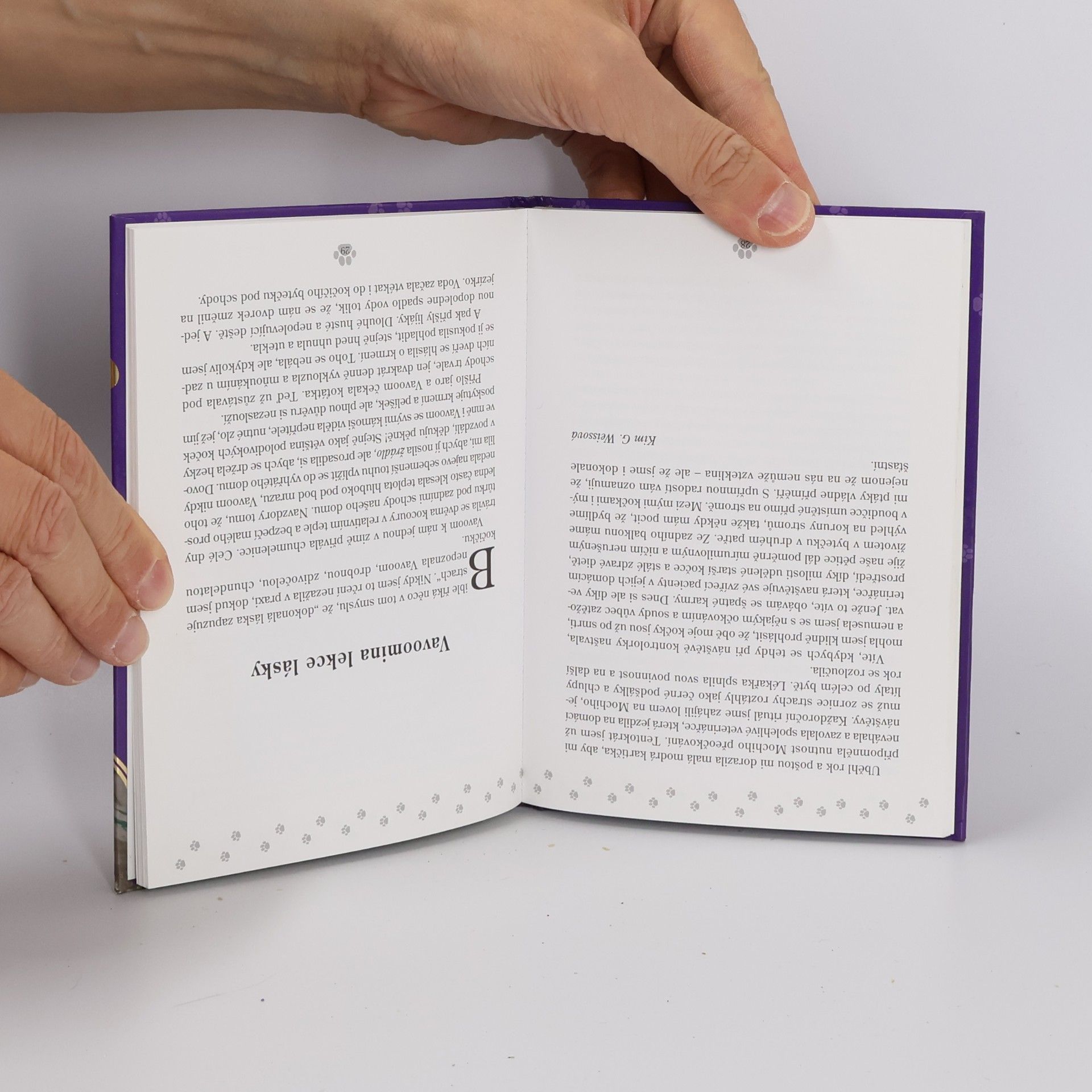 Jack Canfield Slepičí minipolévka o kočičí duši