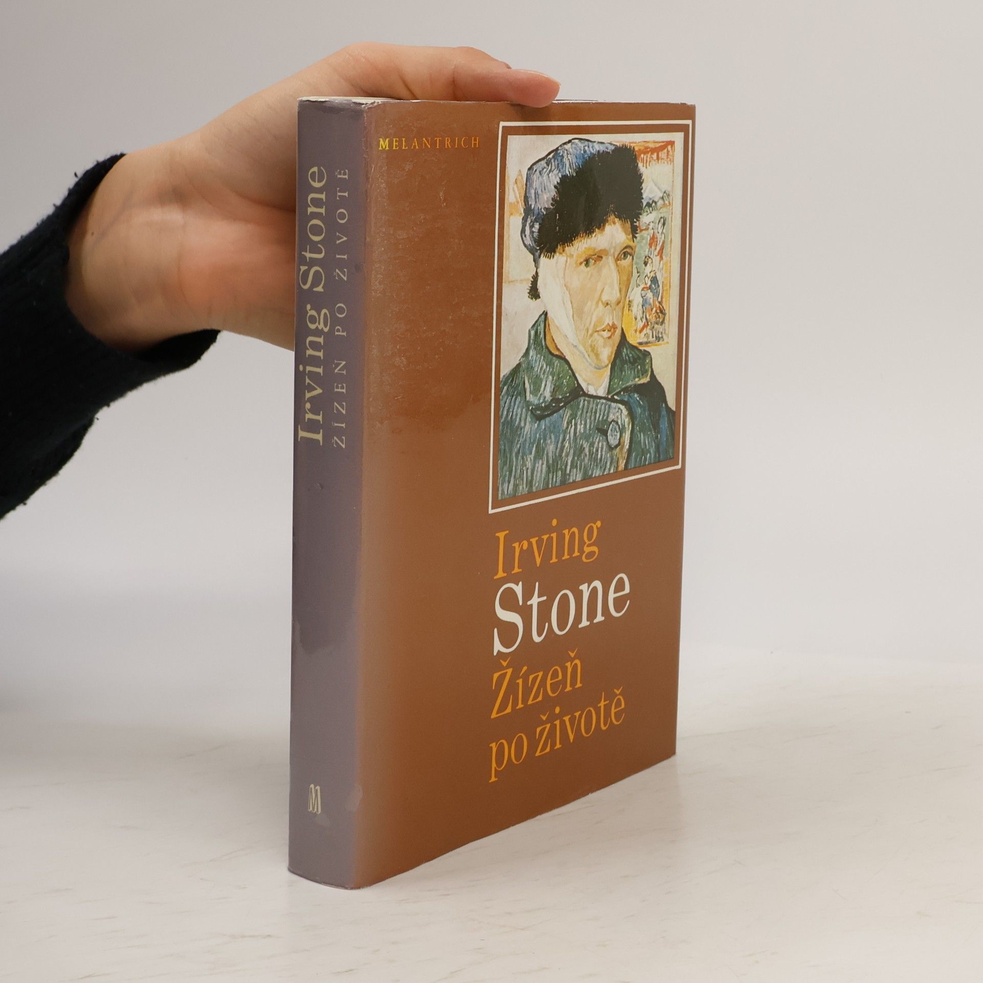 Irving Stone Žízeň po životě