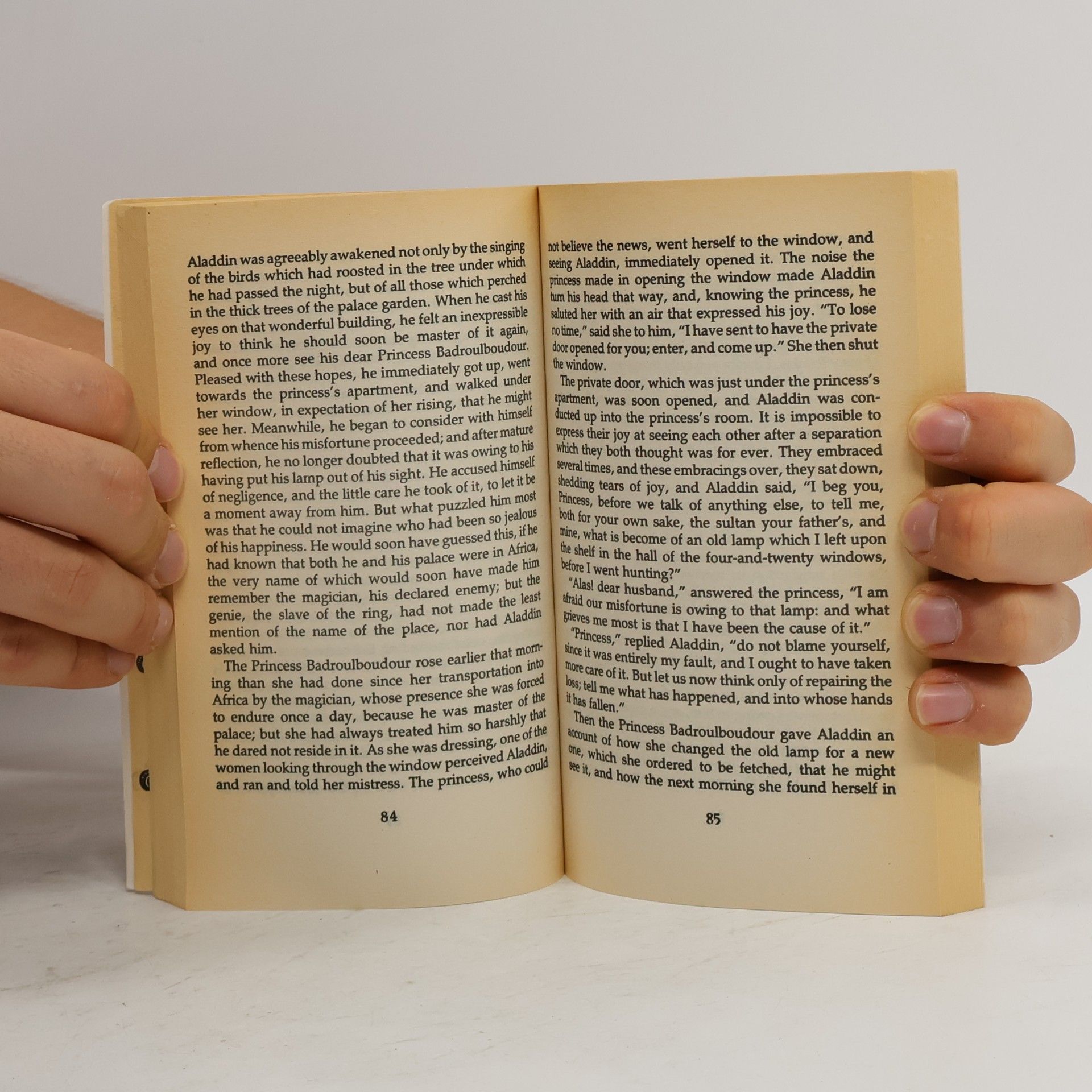 Autorenkollektiv Aladdin & Other Stories: The Arabian Nights