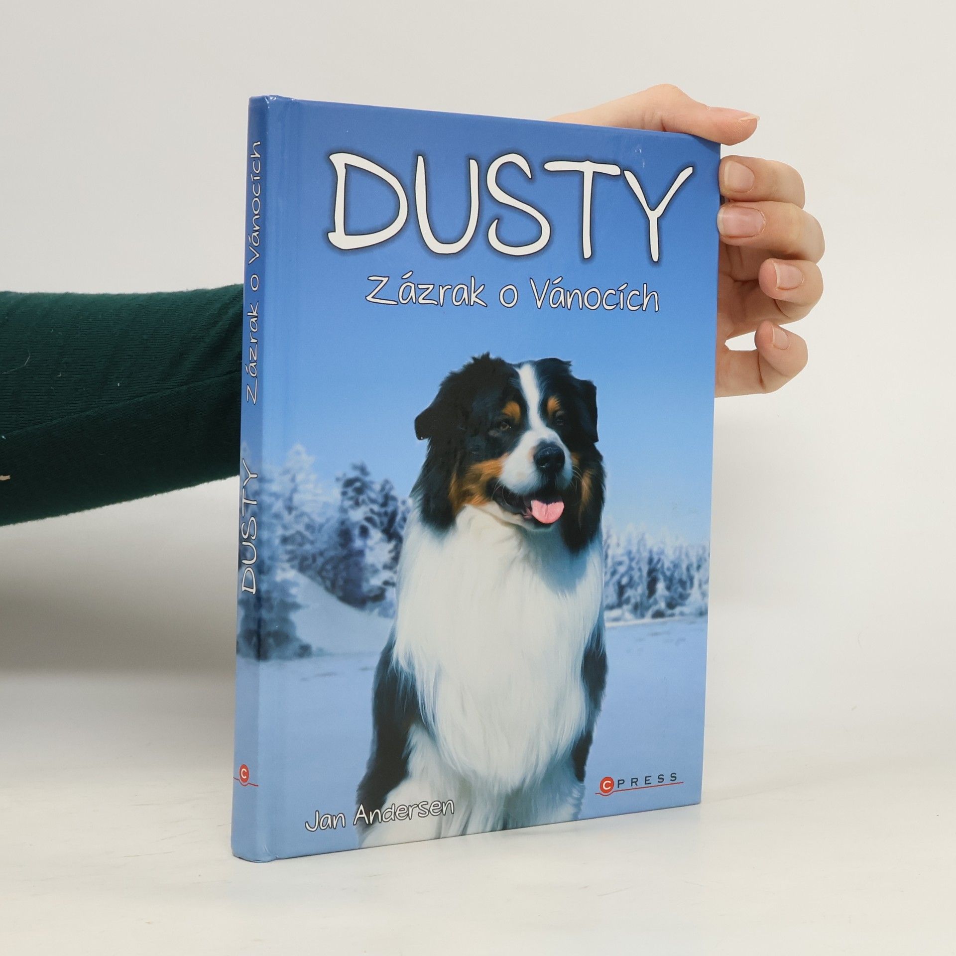 Wolfram Hänel Dusty: Zázrak o Vánocích