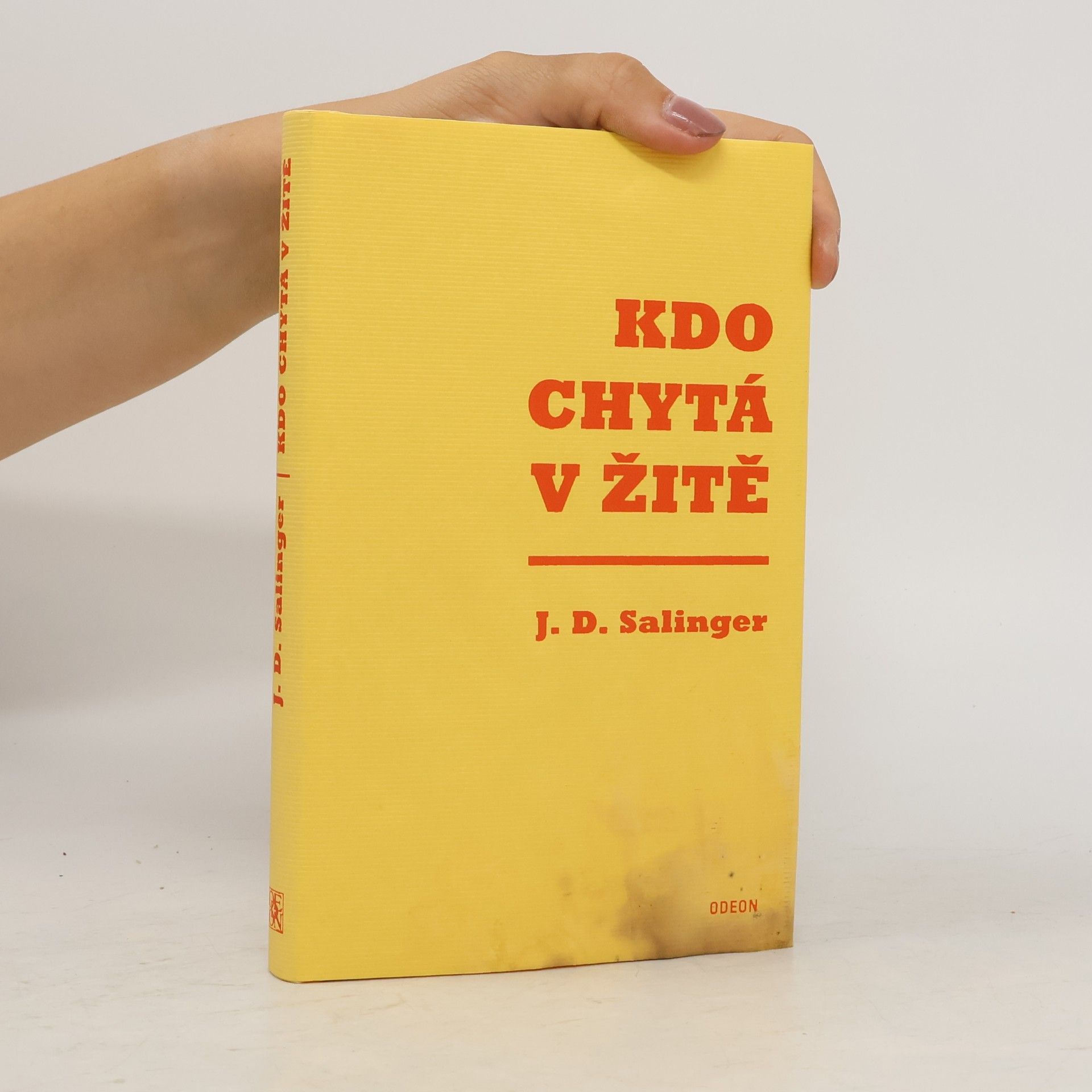 J. D. Salinger Kdo chytá v žitě