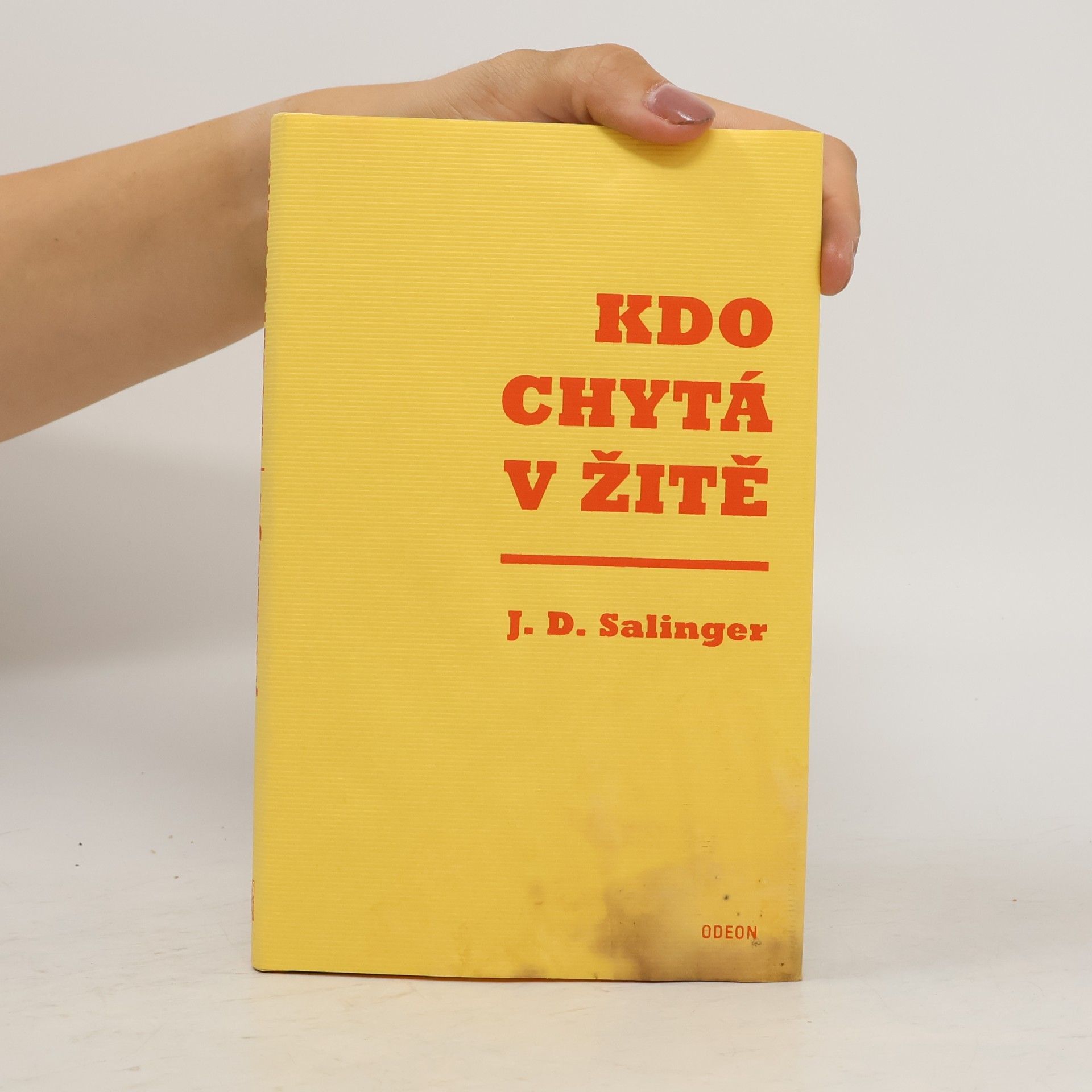 J. D. Salinger Kdo chytá v žitě