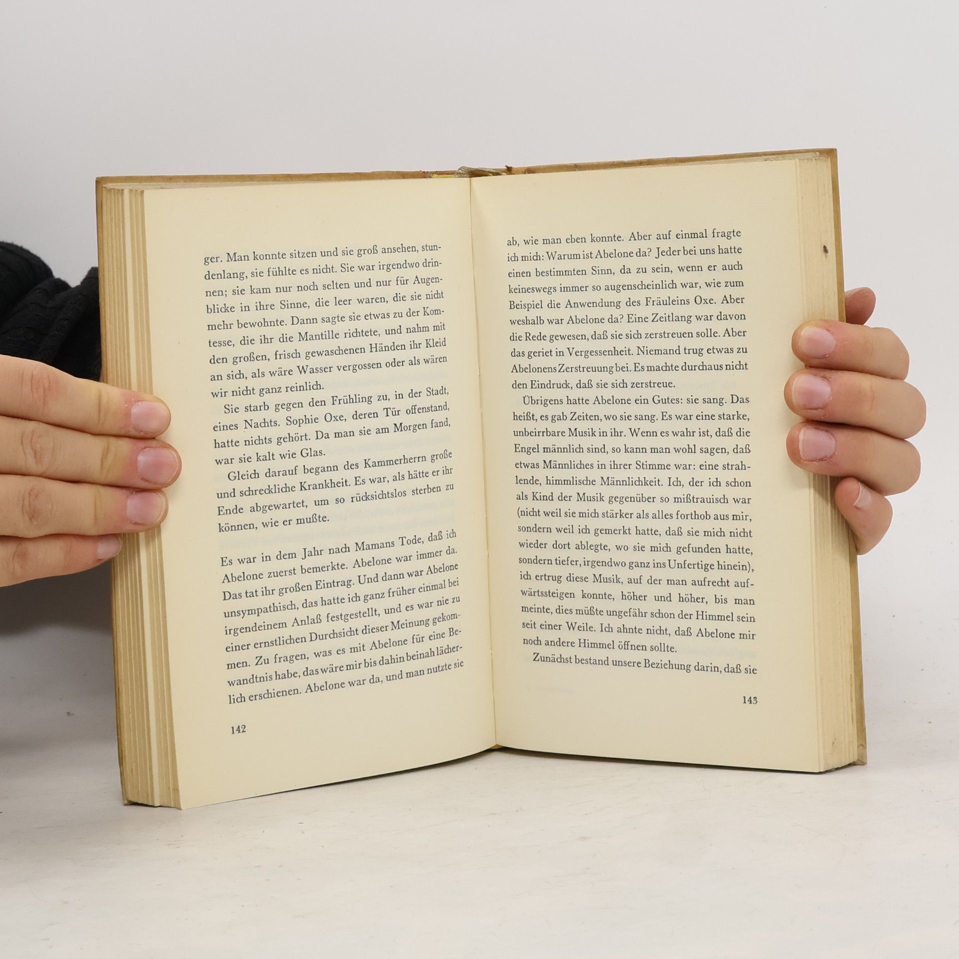 Rainer Maria Rilke Die Aufzeichnungen des Malte Laurids Brigge