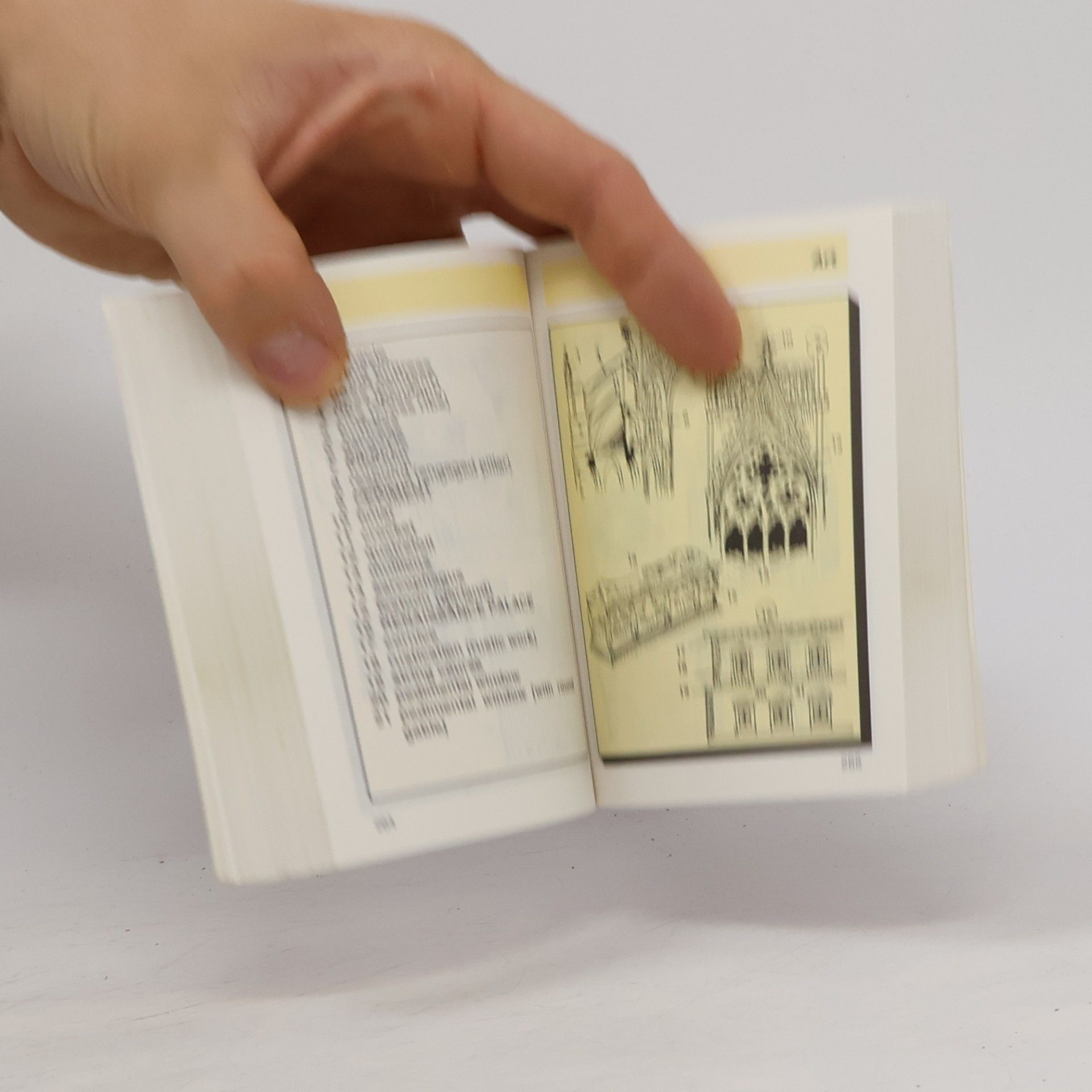 Antonín Šplíchal Pictorial Dictionary: English