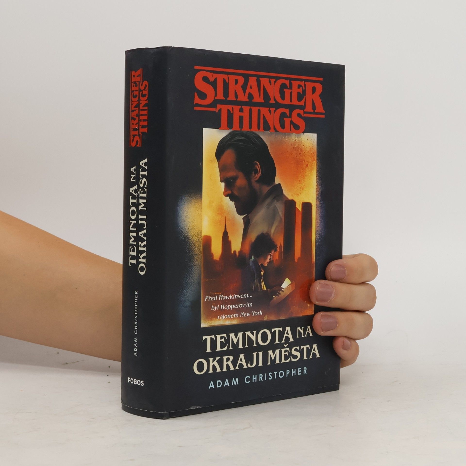 Stranger Things. Temnota na okraji města