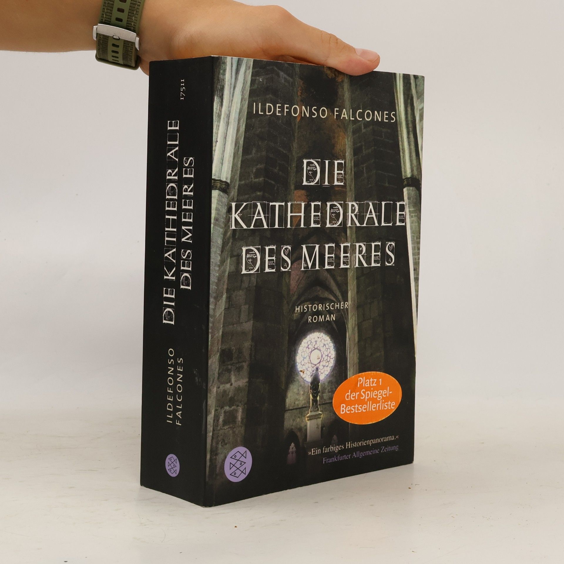 Ildefonso Falcones Die Kathedrale des Meeres
