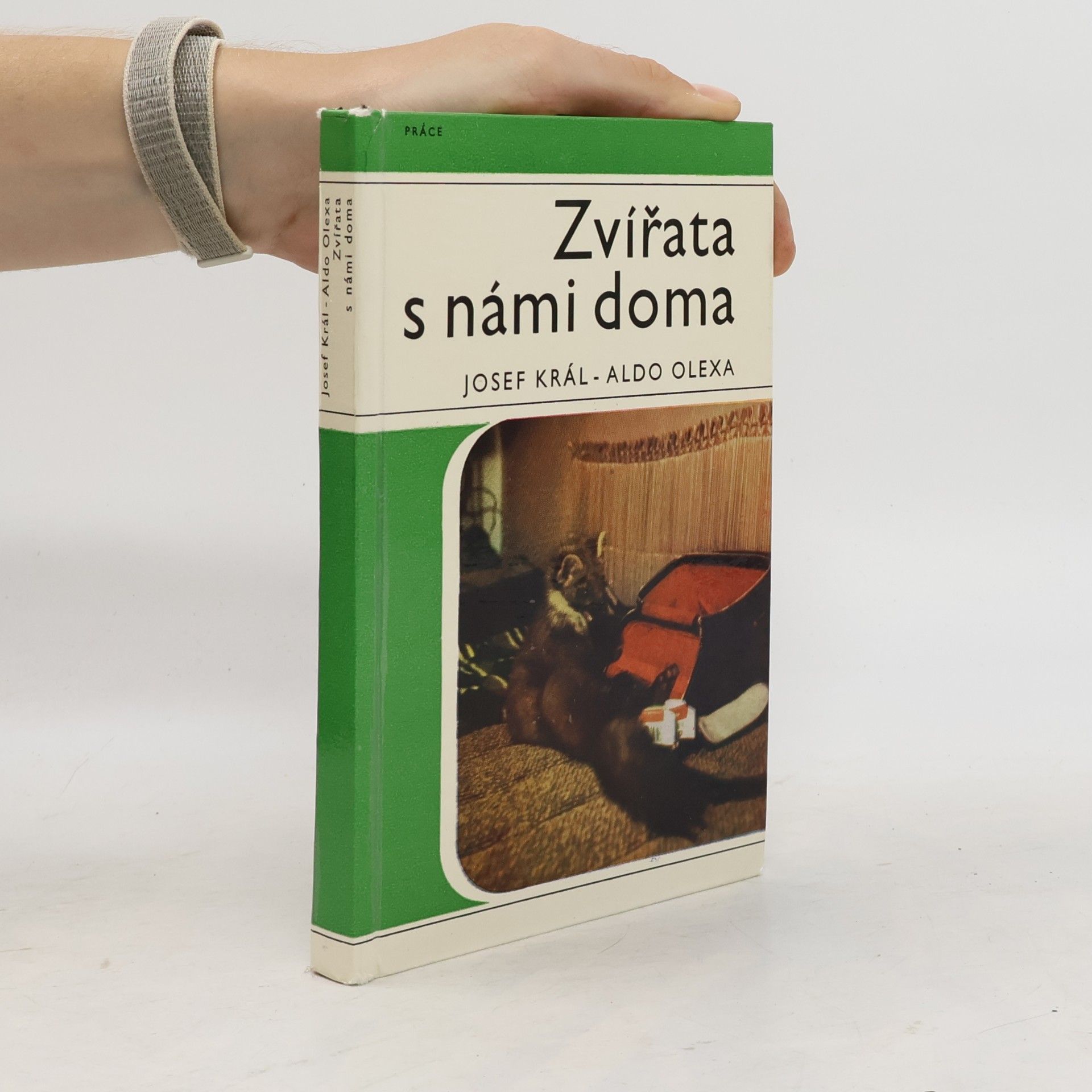 Zvířata s námi doma