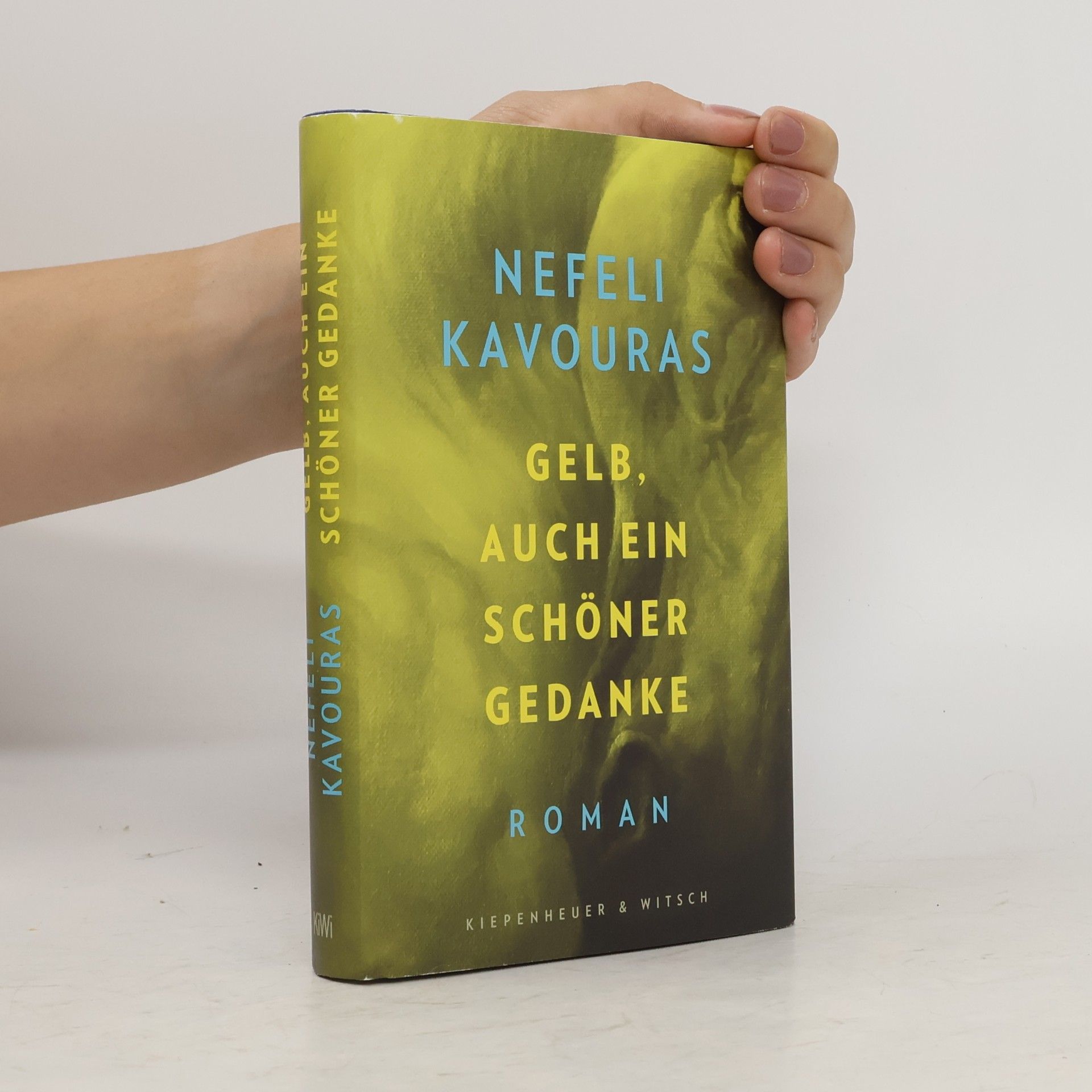 Nefeli Kavouras Gelb, auch ein schöner Gedanke: Roman