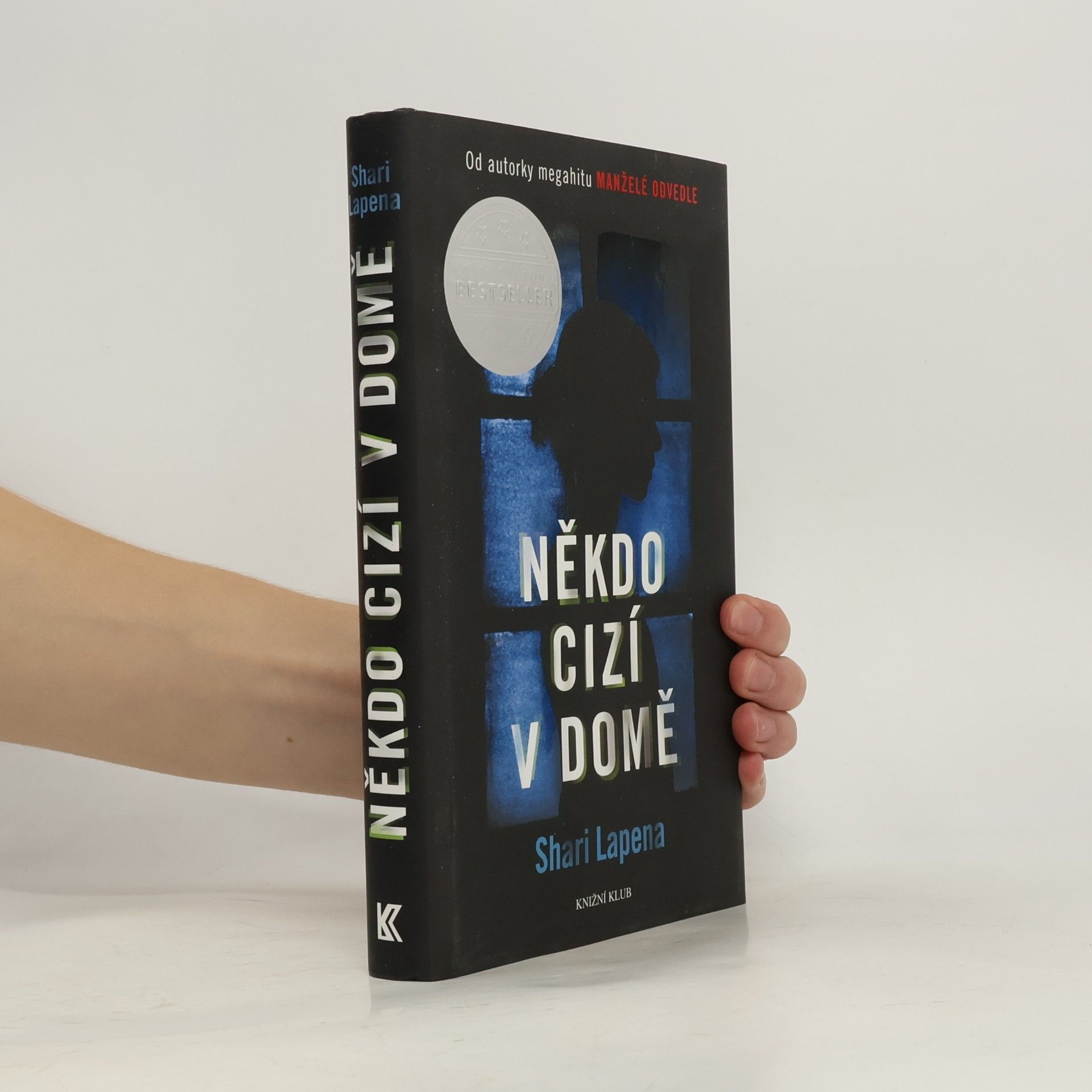 Shari Lapenová Někdo cizí v domě
