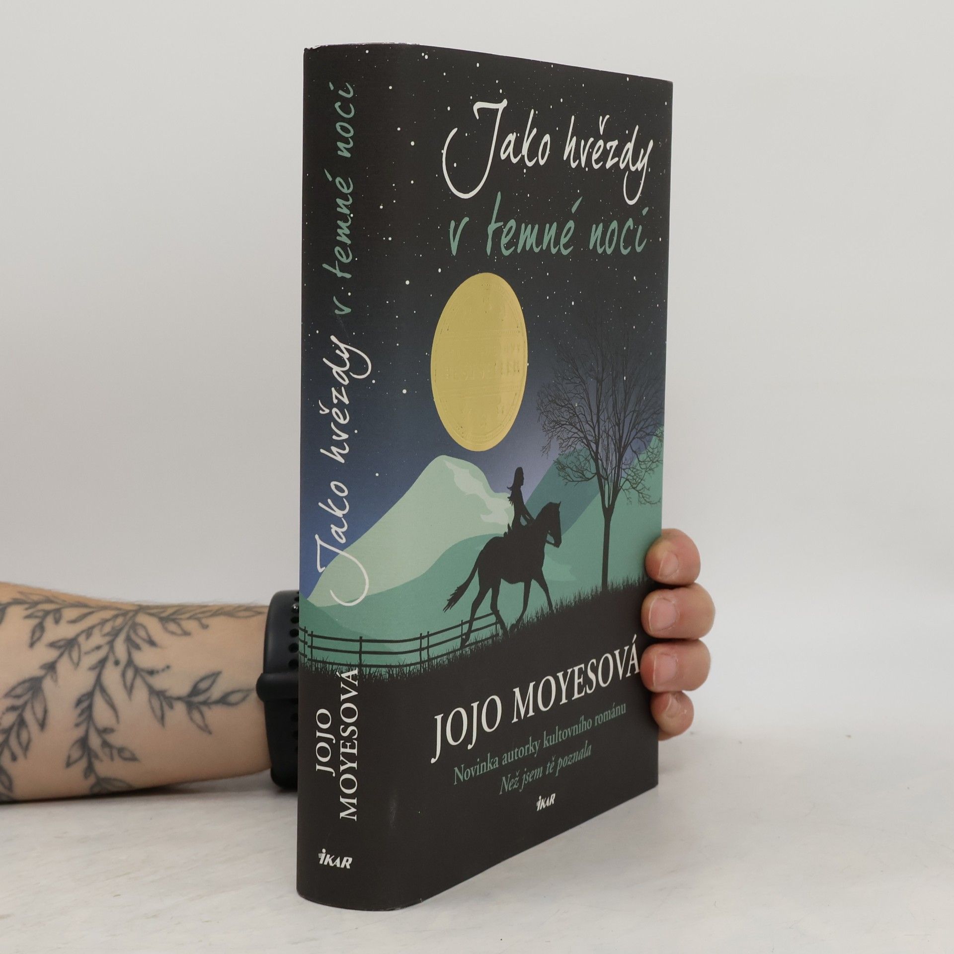 Jojo Moyes Jako hvězdy v temné noci