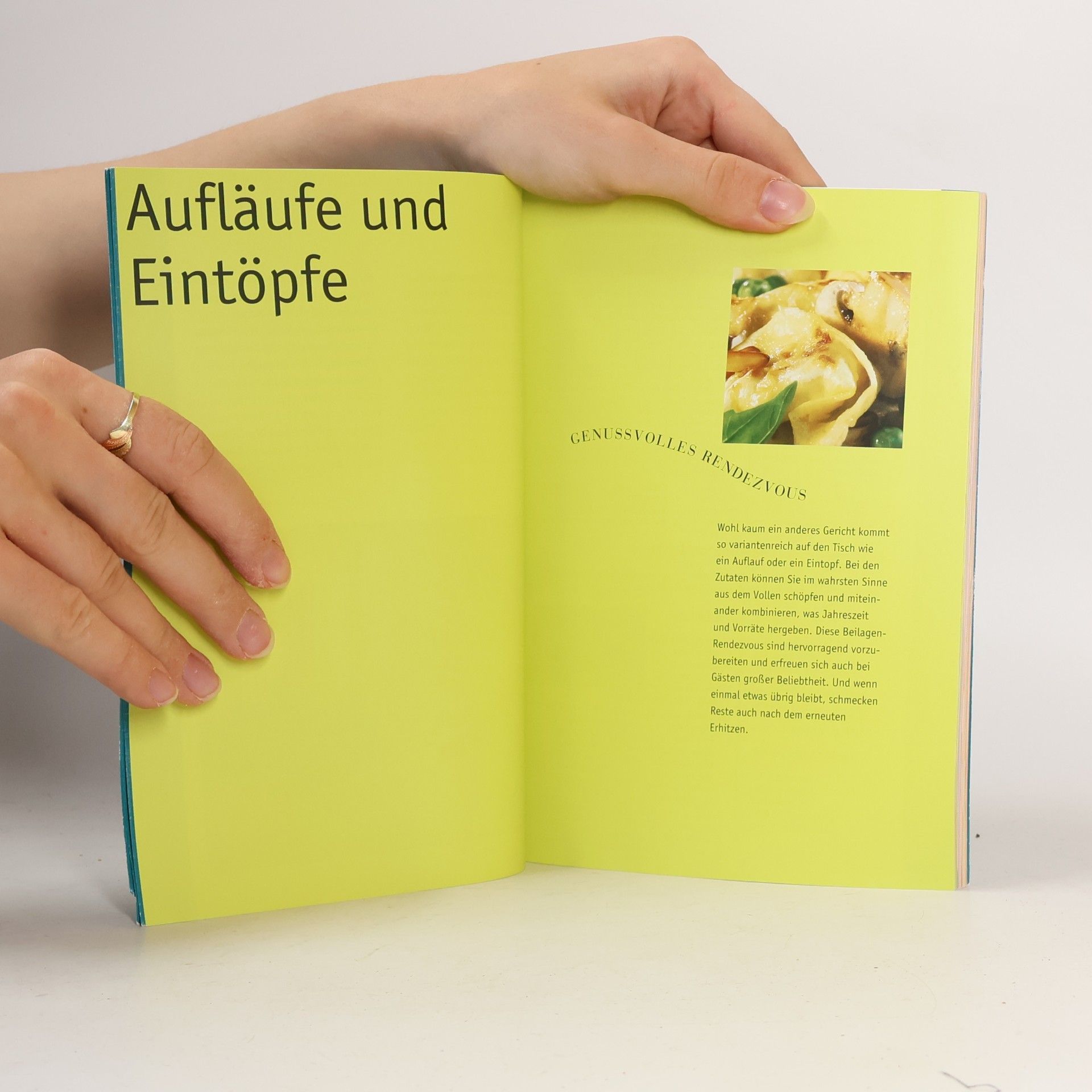 Autorenkollektiv Braten im Gourmet-Bräter
