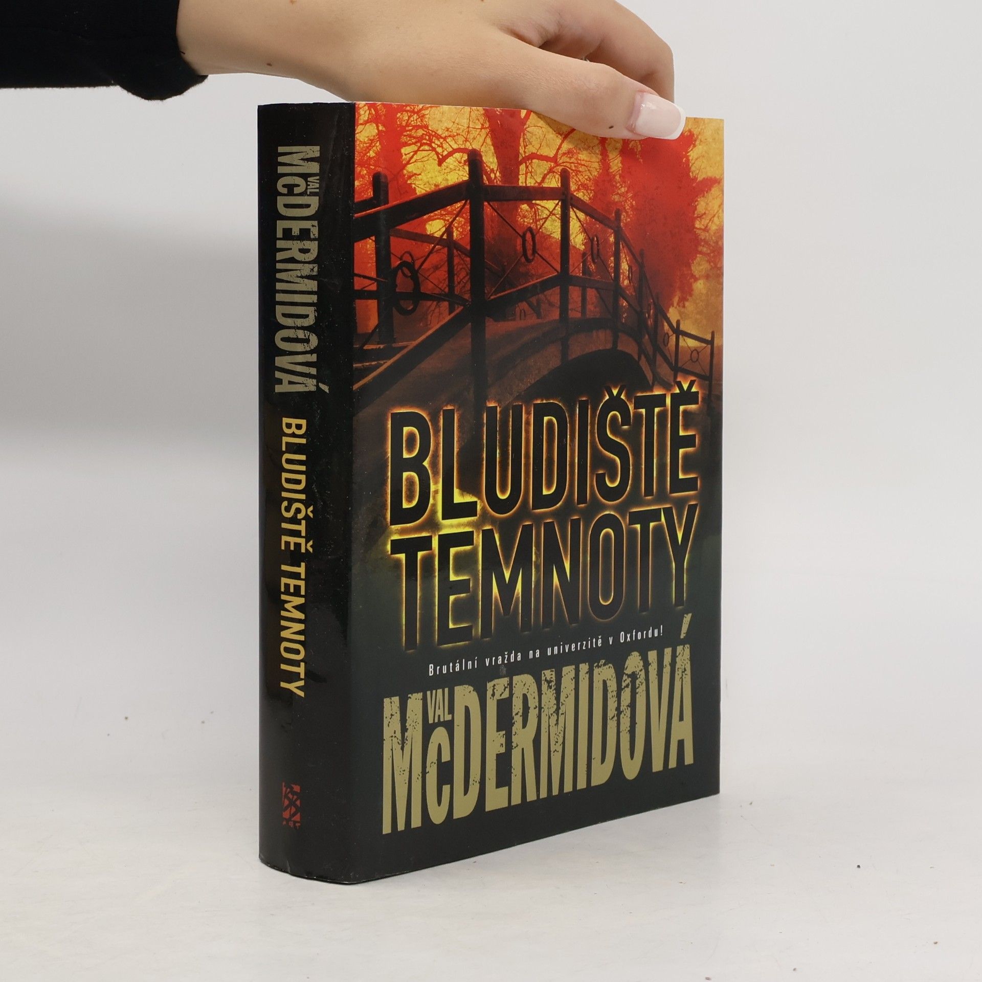 Val McDermid Bludiště temnoty
