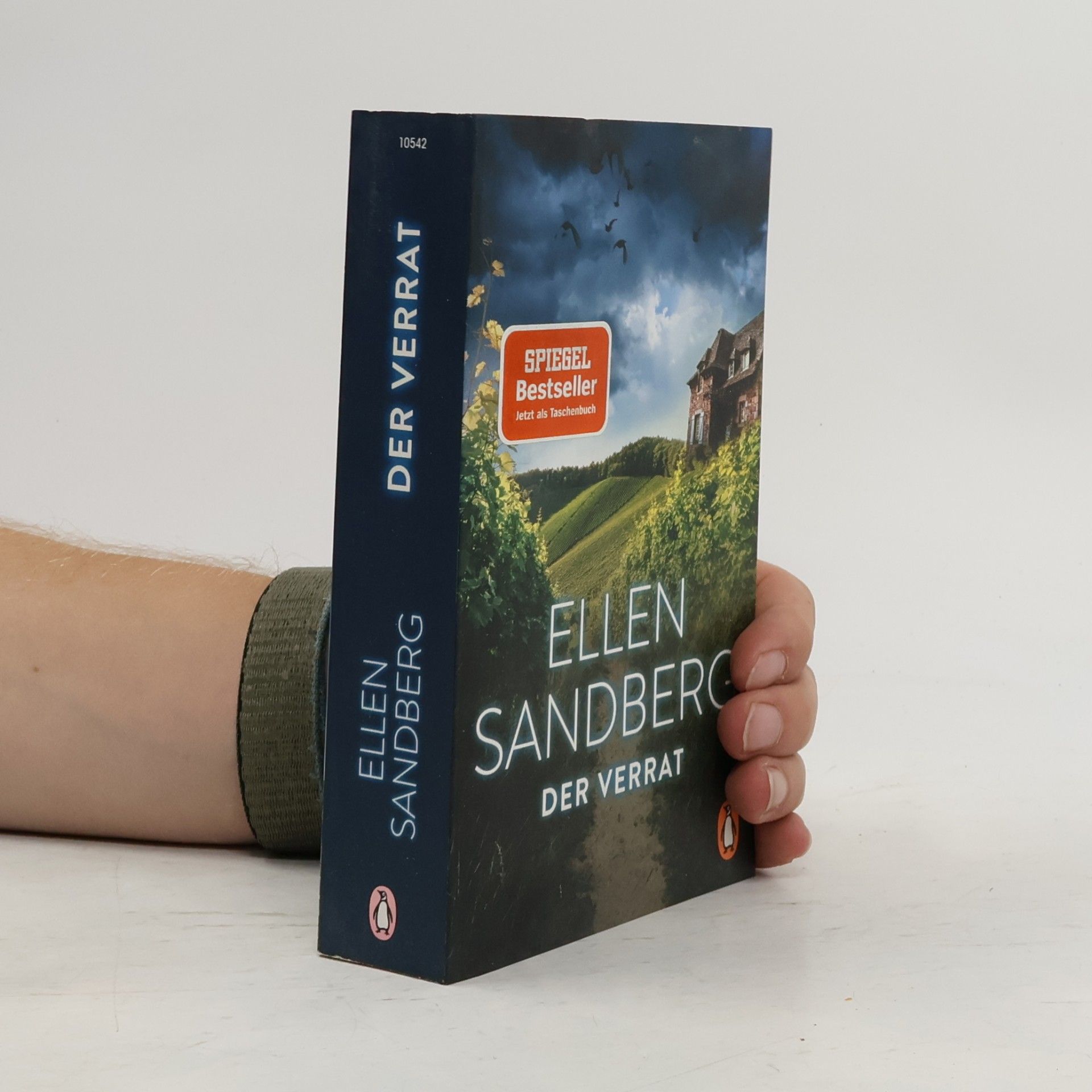 Ellen Sandberg Der Verrat
