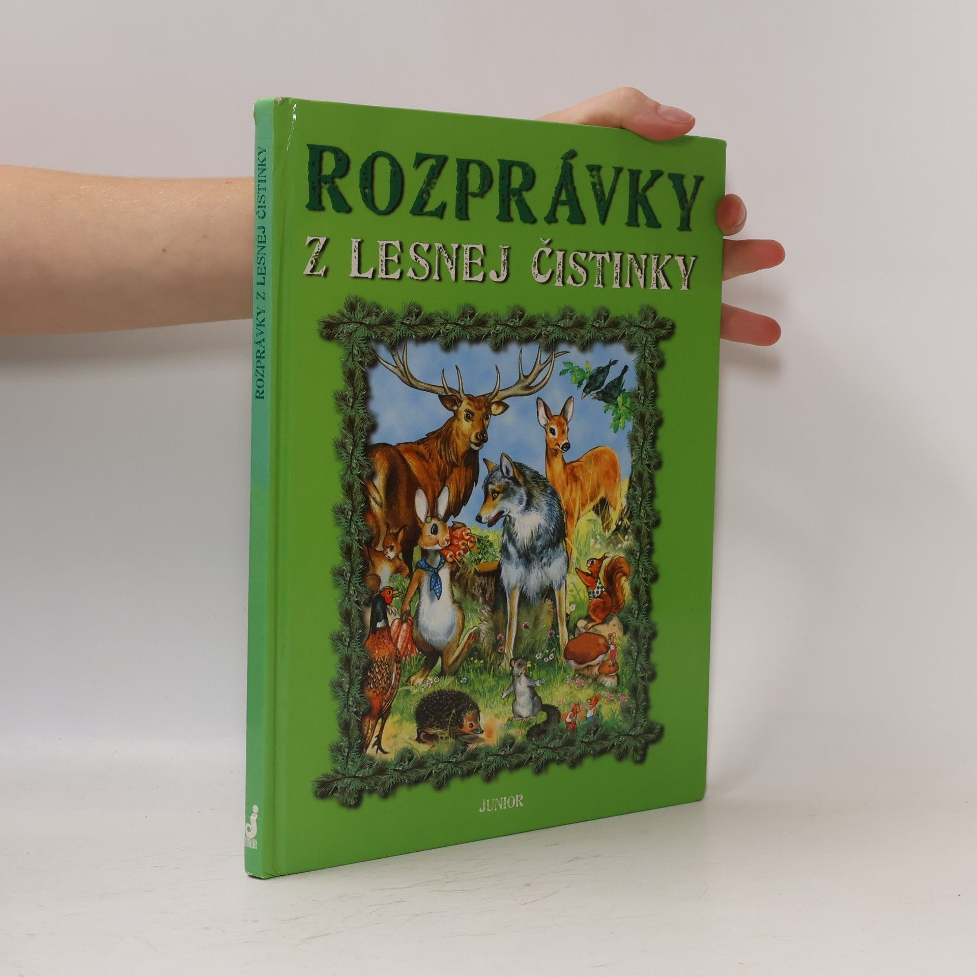 Autorenkollektiv Rozprávky z lesnej čistinky