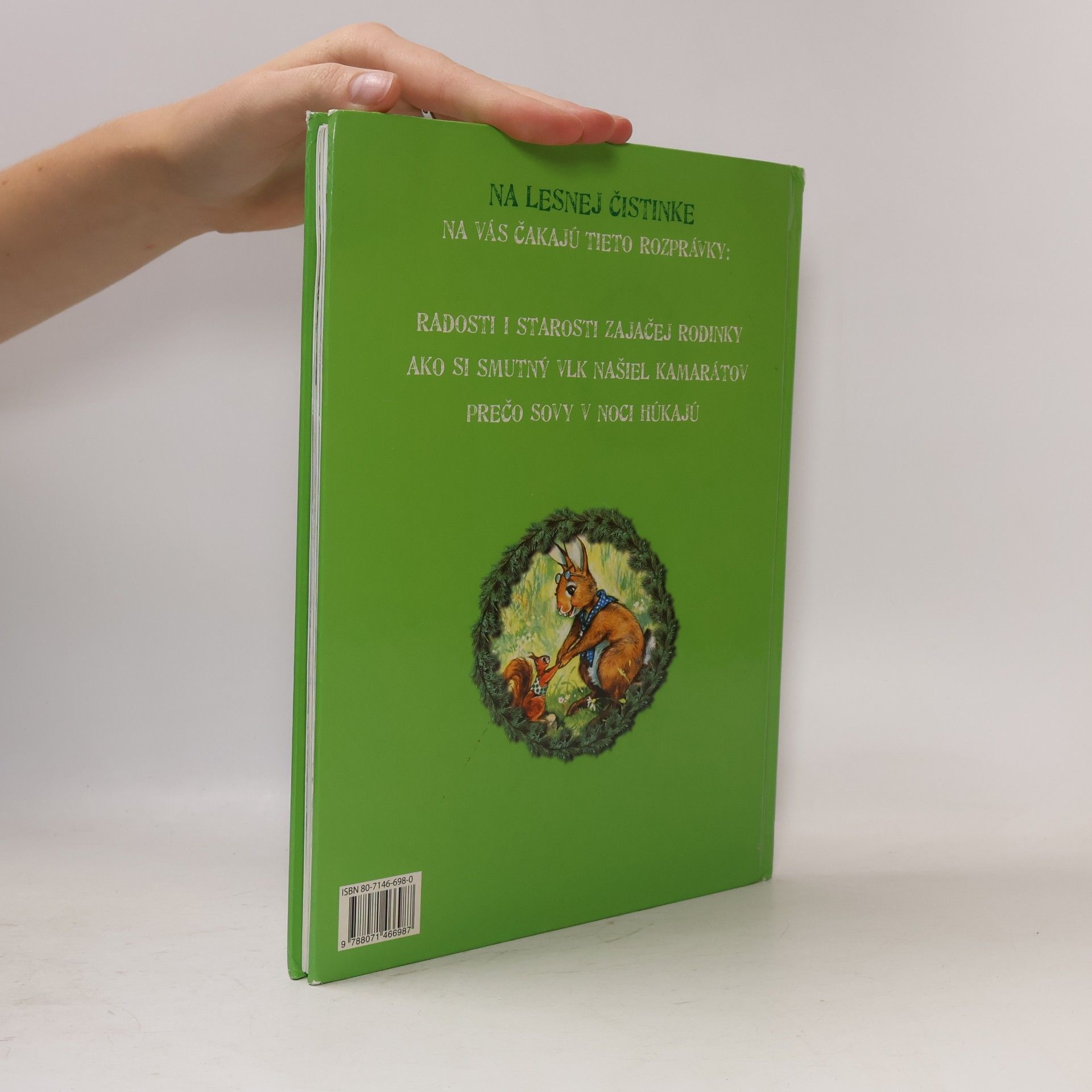 Autorenkollektiv Rozprávky z lesnej čistinky