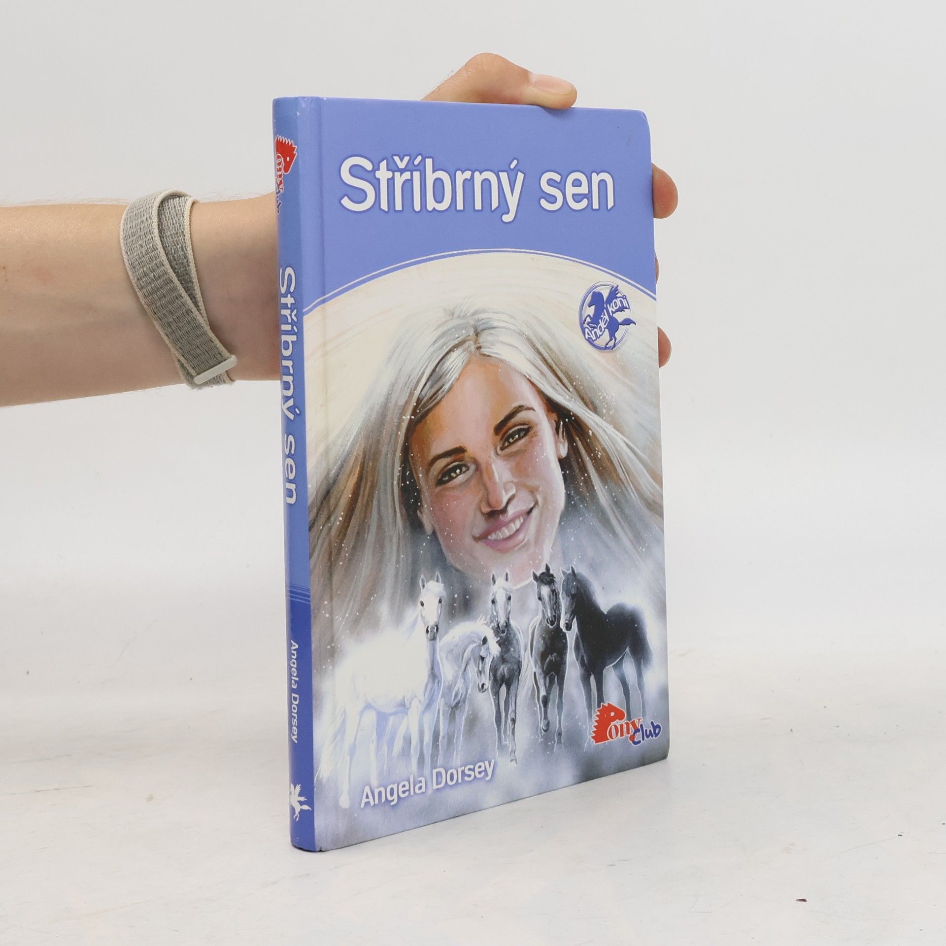 Angela Dorsey Stříbrný sen