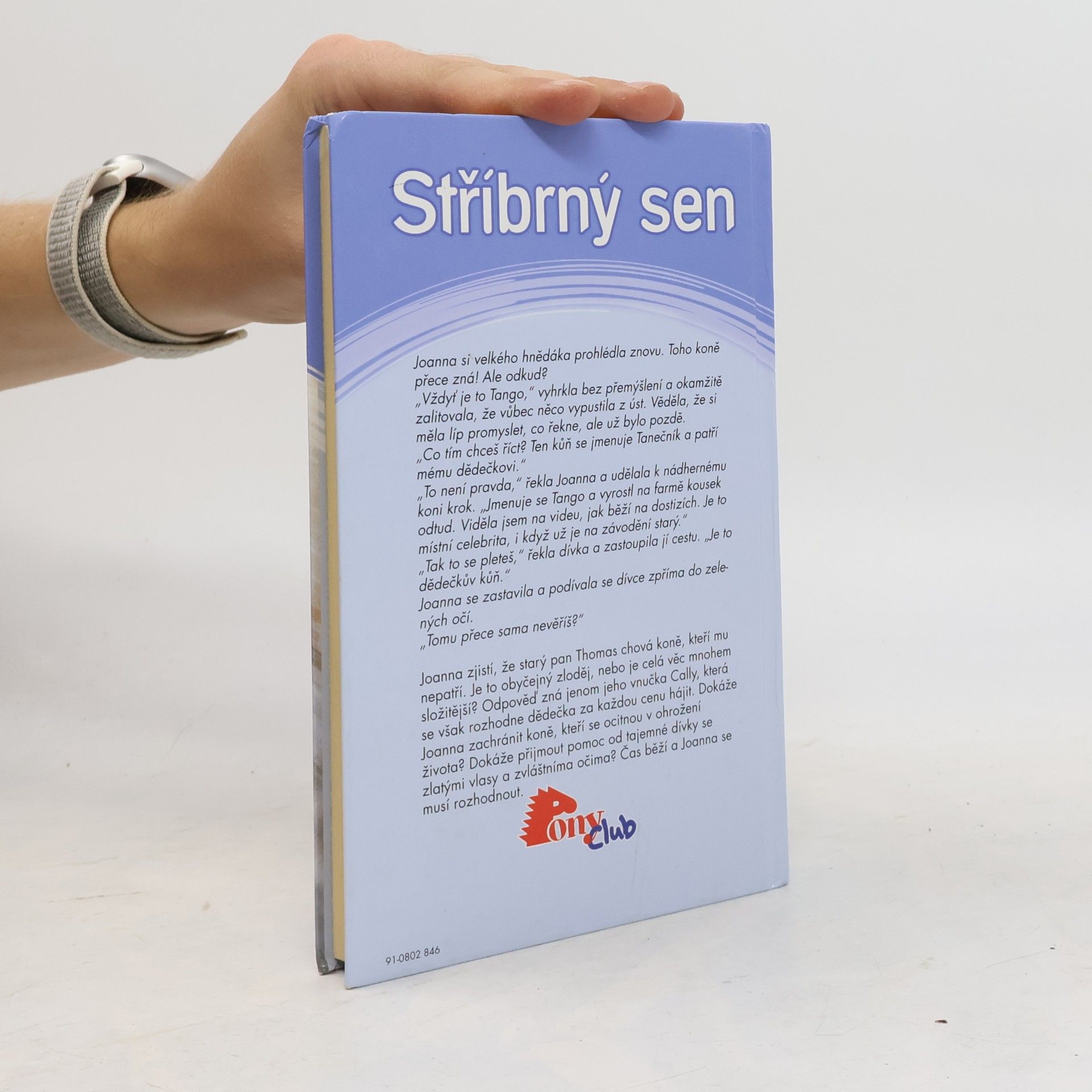 Angela Dorsey Stříbrný sen