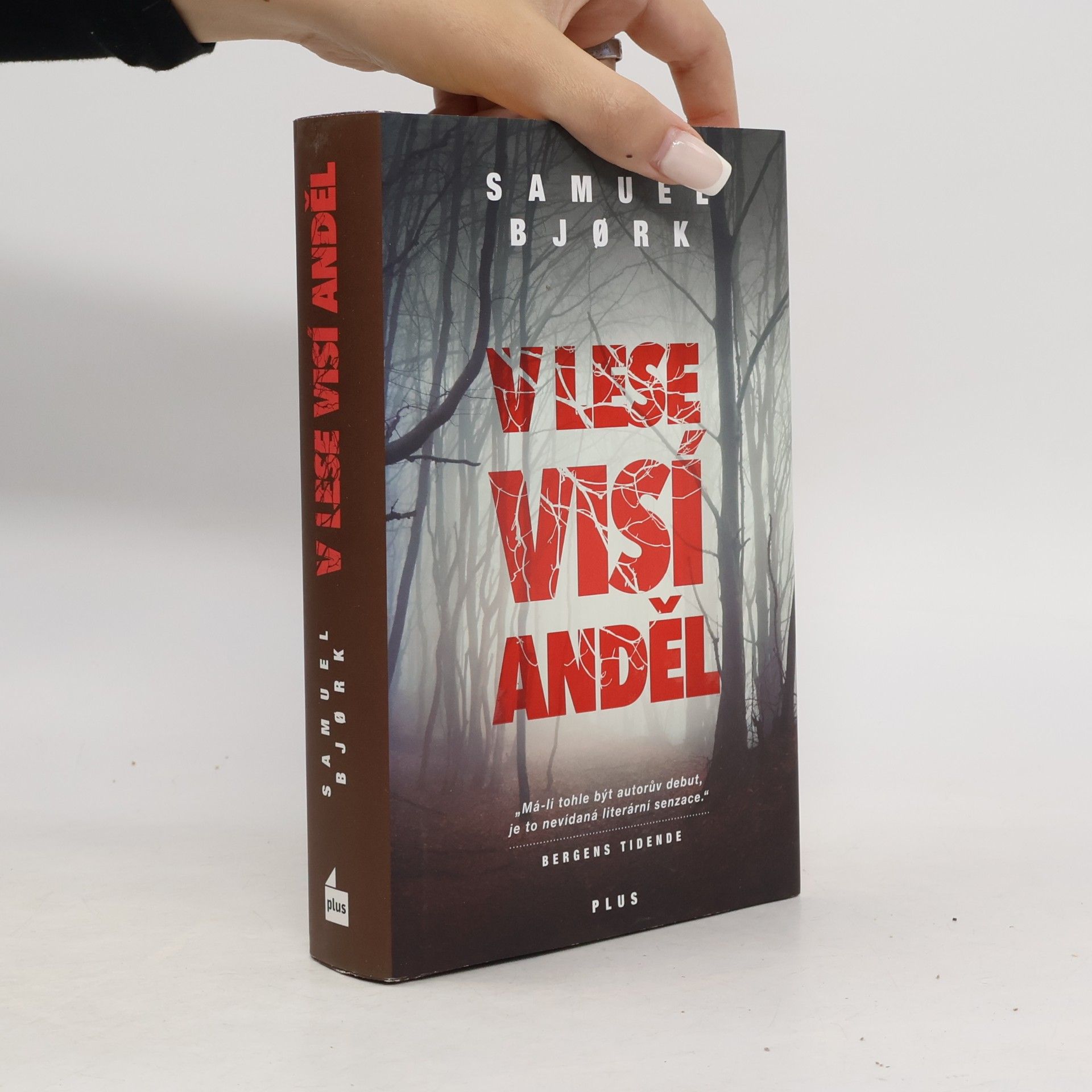 Samuel Bjork V lese visí anděl