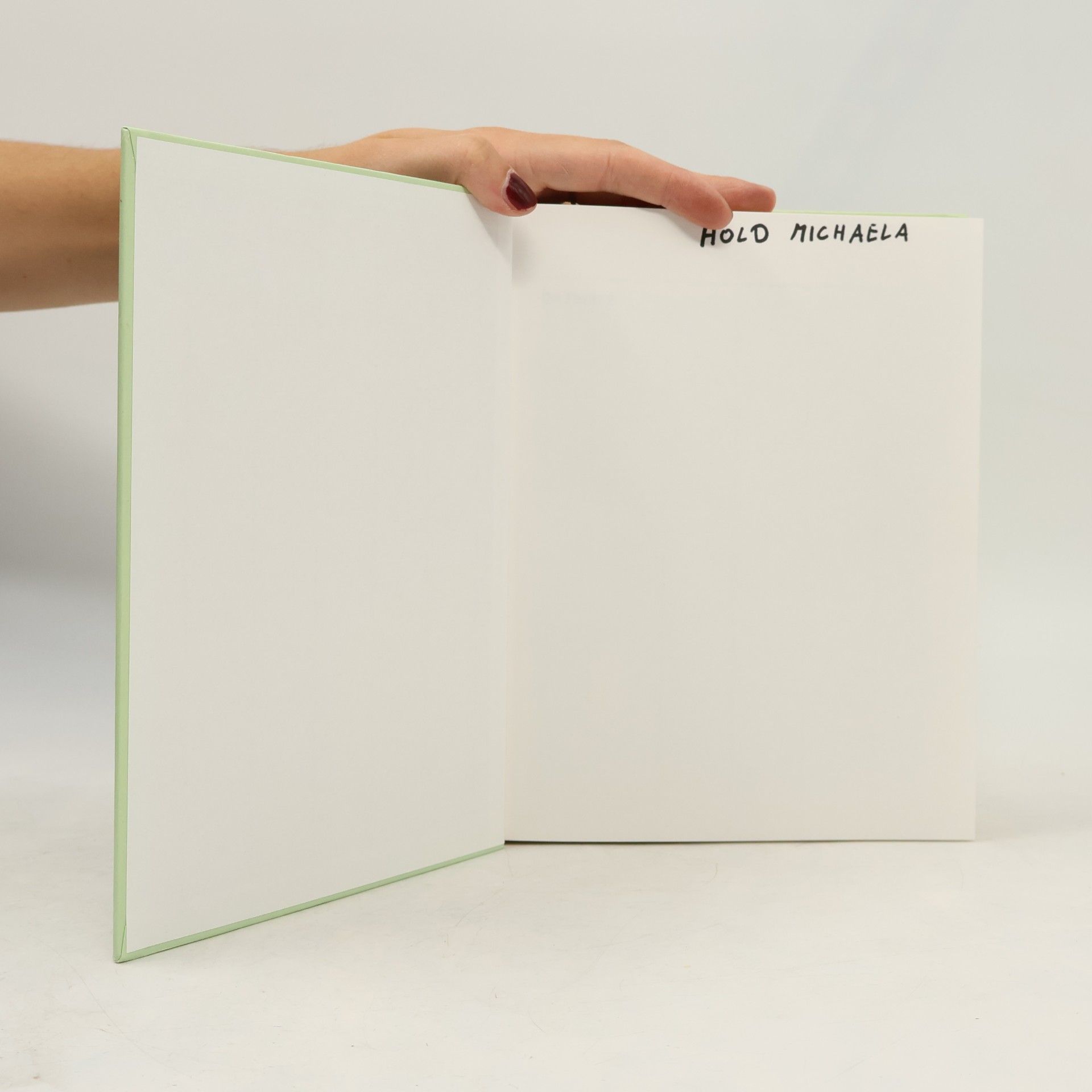 Ingeborg Wundermann Der Florist 2: Pflanze, Pflege, Material und Geschäftskunde