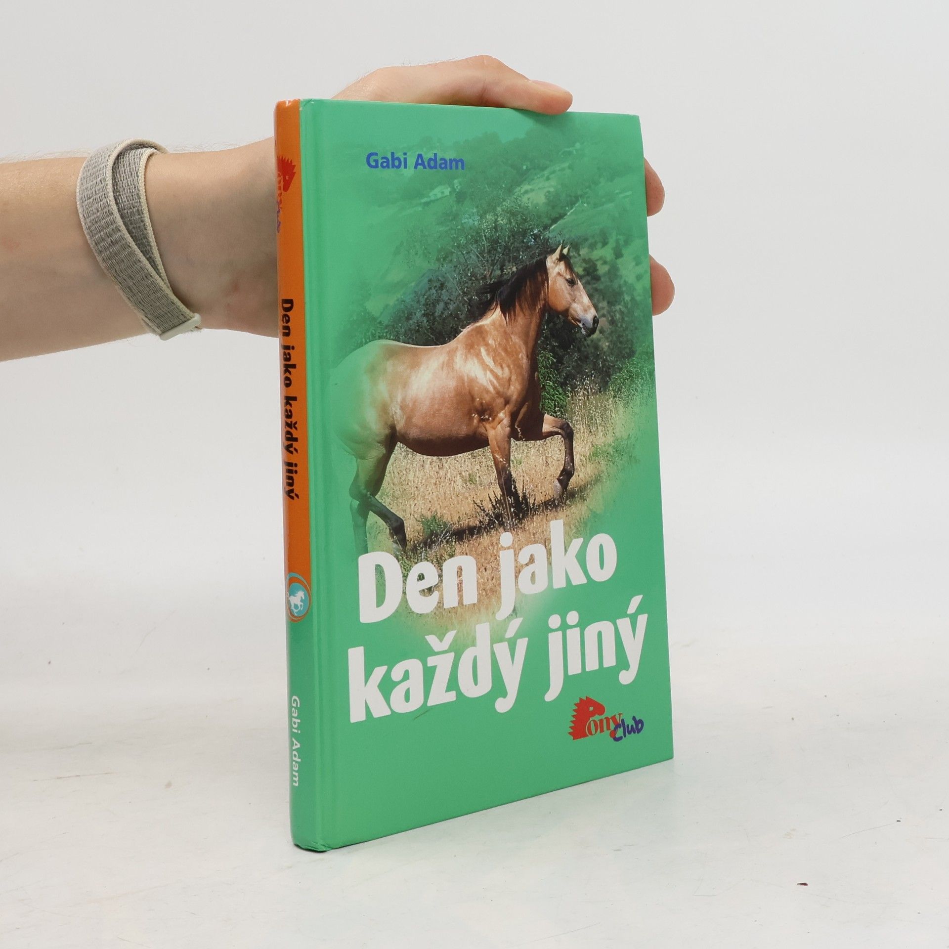 Gabi Adam Den jako každý jiný