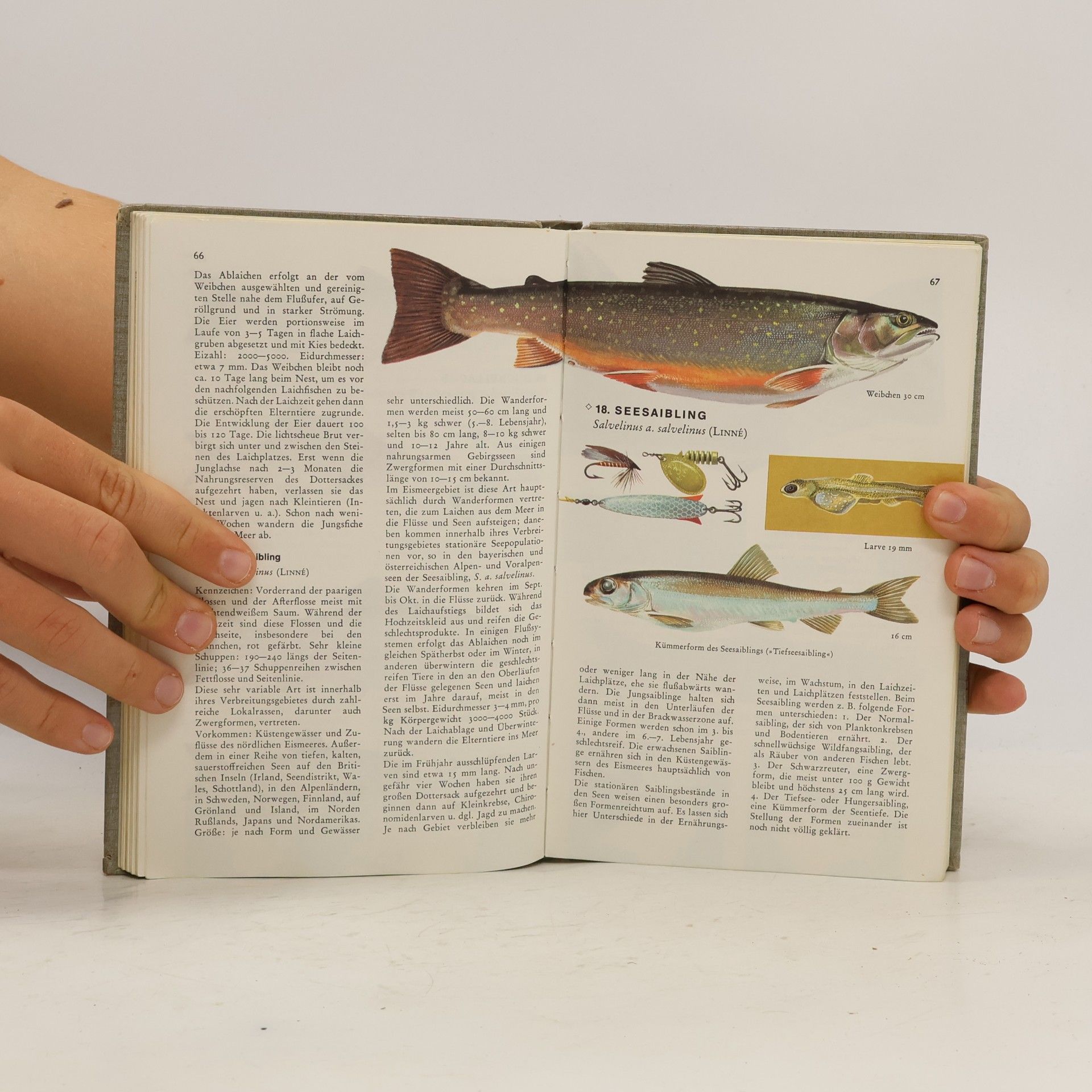 Bent J. Muus Süsswasserfische Europas