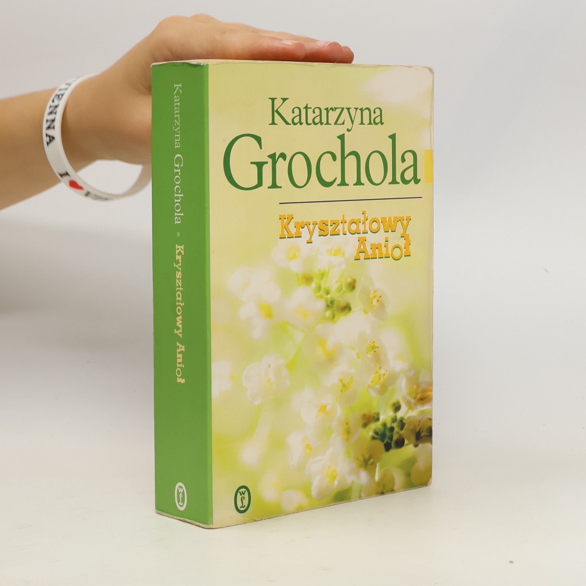 Katarzyna Grochola Kryształowy Anioł