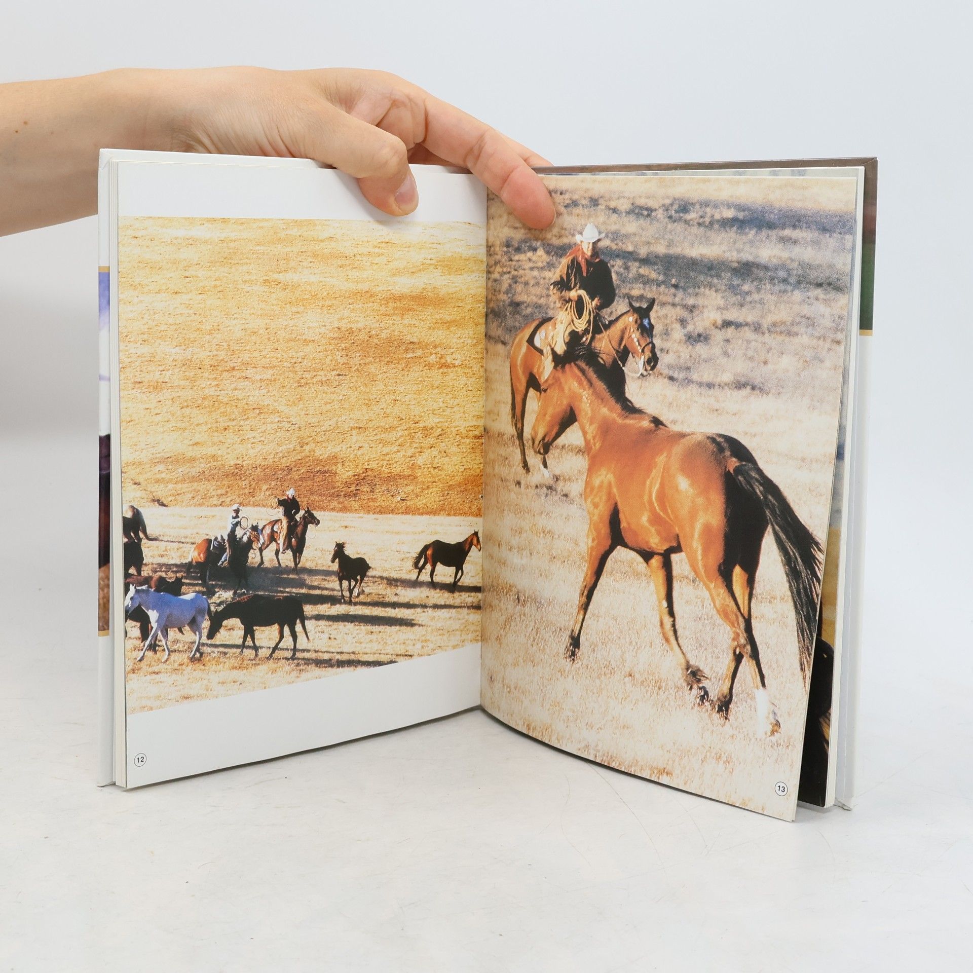 Monty Roberts Plachý hoch. Kůň, který přišel z divočiny