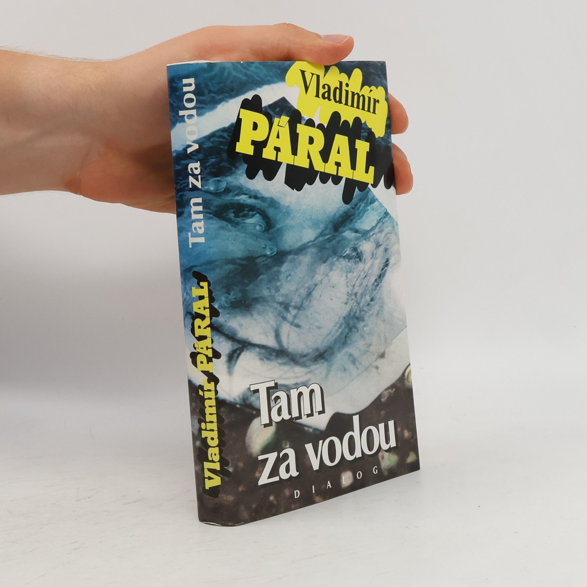 Vladimír Páral Tam za vodou