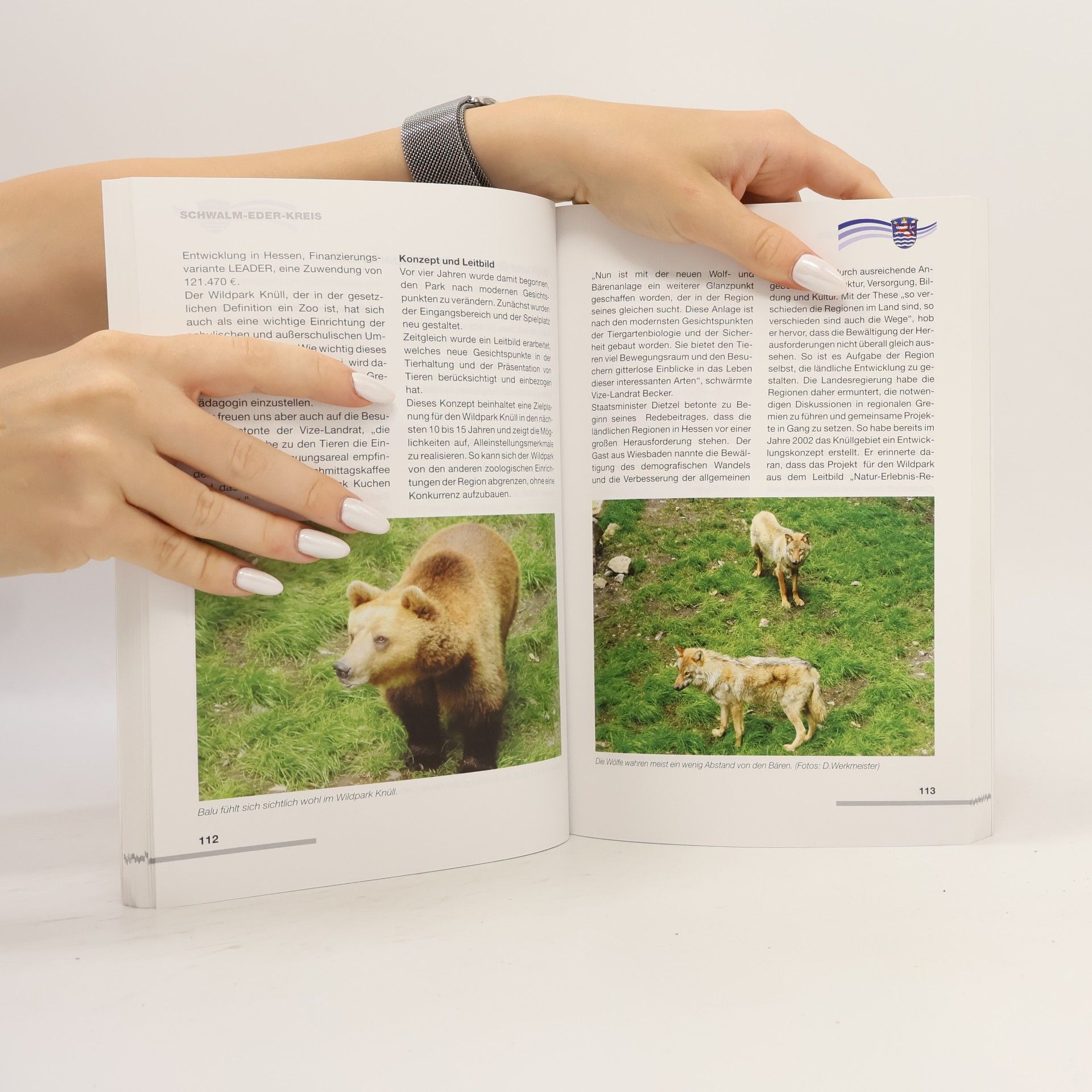 kolektiv Jahrbuch Schwalm Eder Kreis 2008