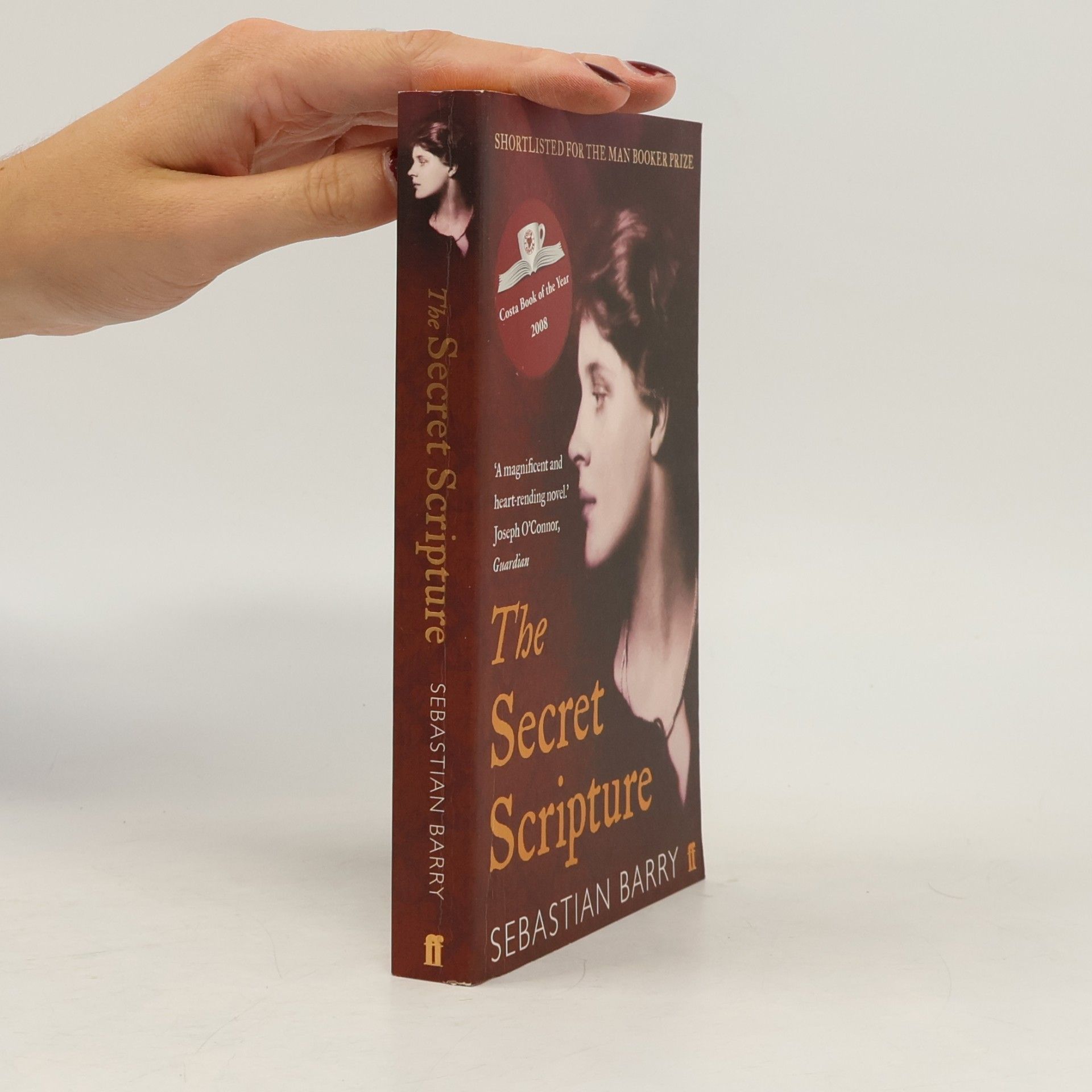 Sebastian Barry The secret scripture