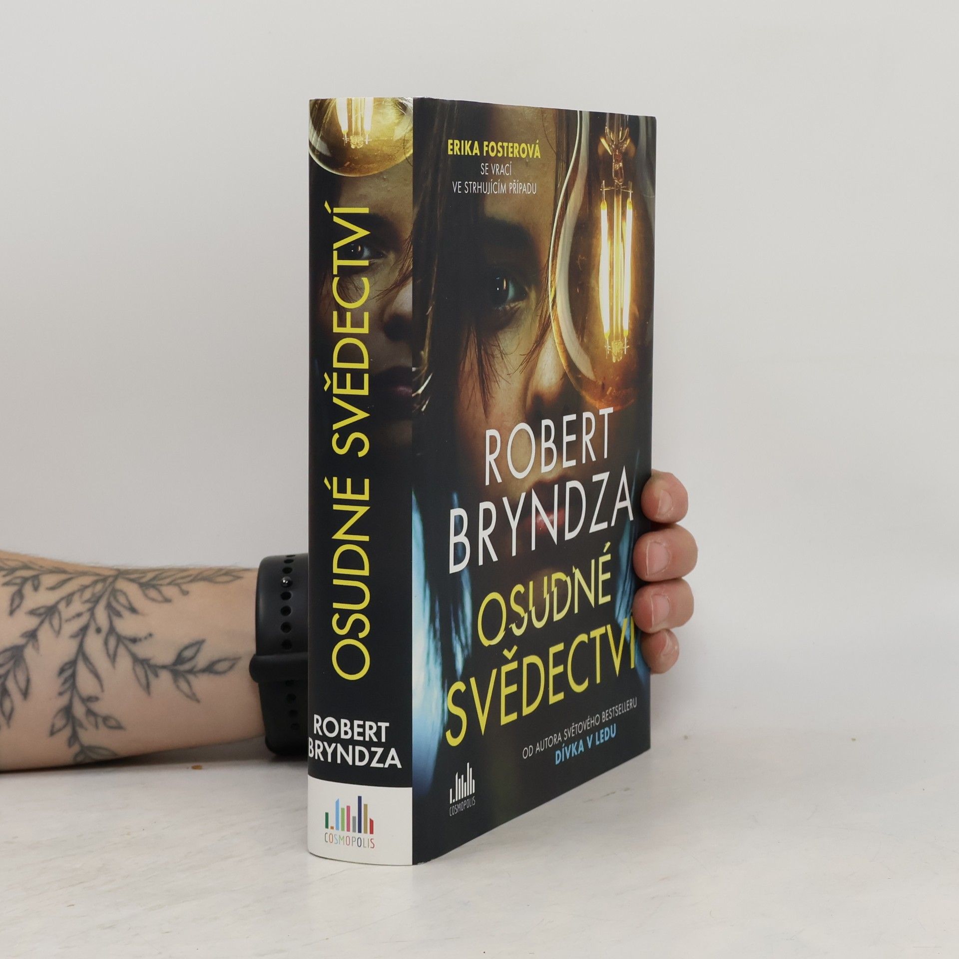 Robert Bryndza Osudné svědectví