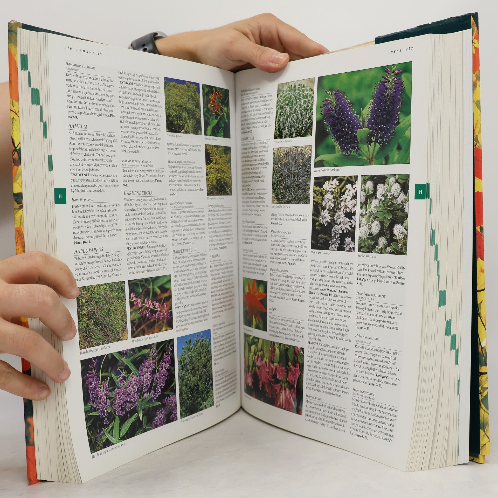 Geoffrey Burnie Botanika. Ilustrovaný abecední atlas 10 000 zahradních rostlin s návodem, jak je pěstovat