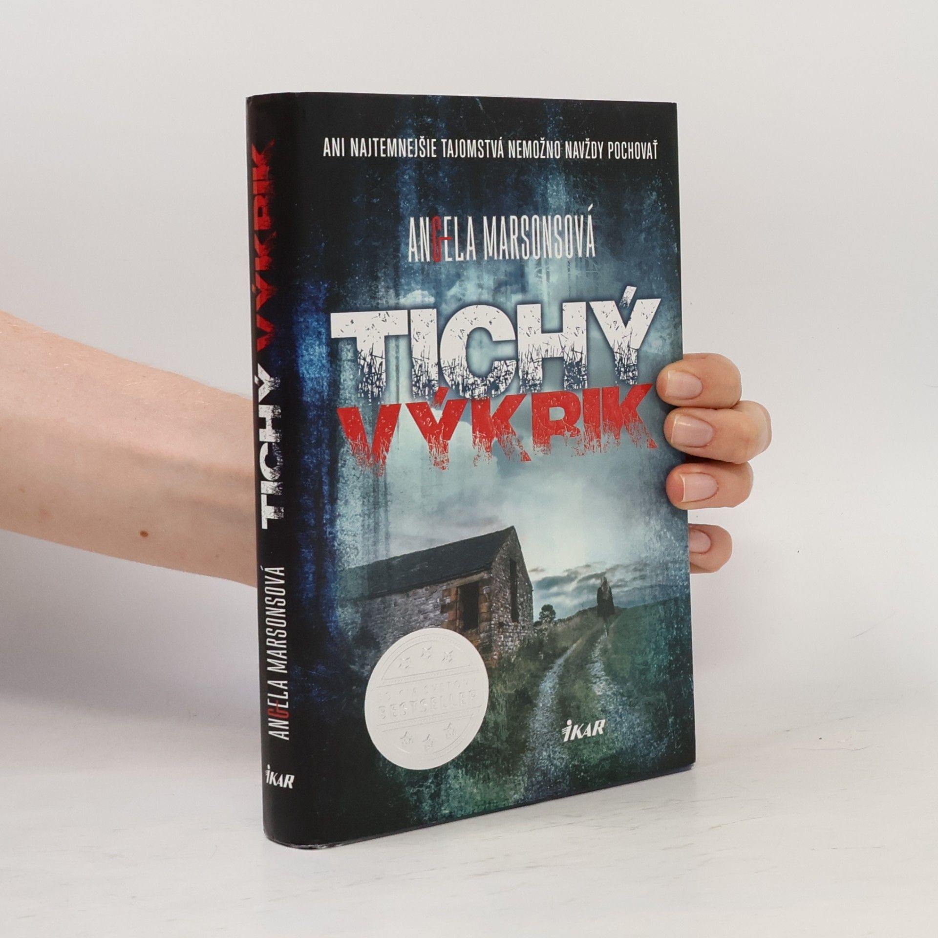 Angela Marsons Tichý výkrik