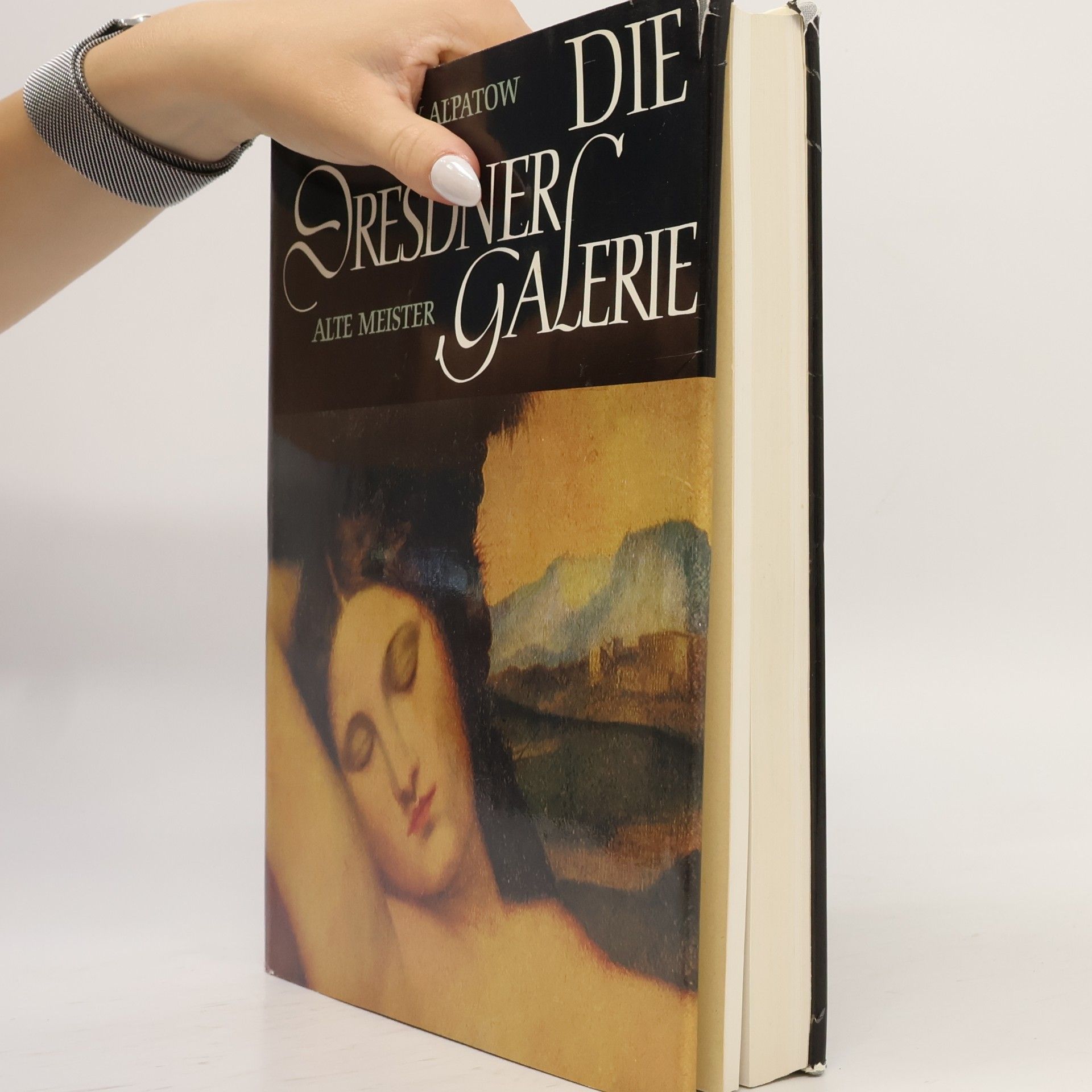 Alpatow Michael W. Die Dresdner Galerie. Alte Meister