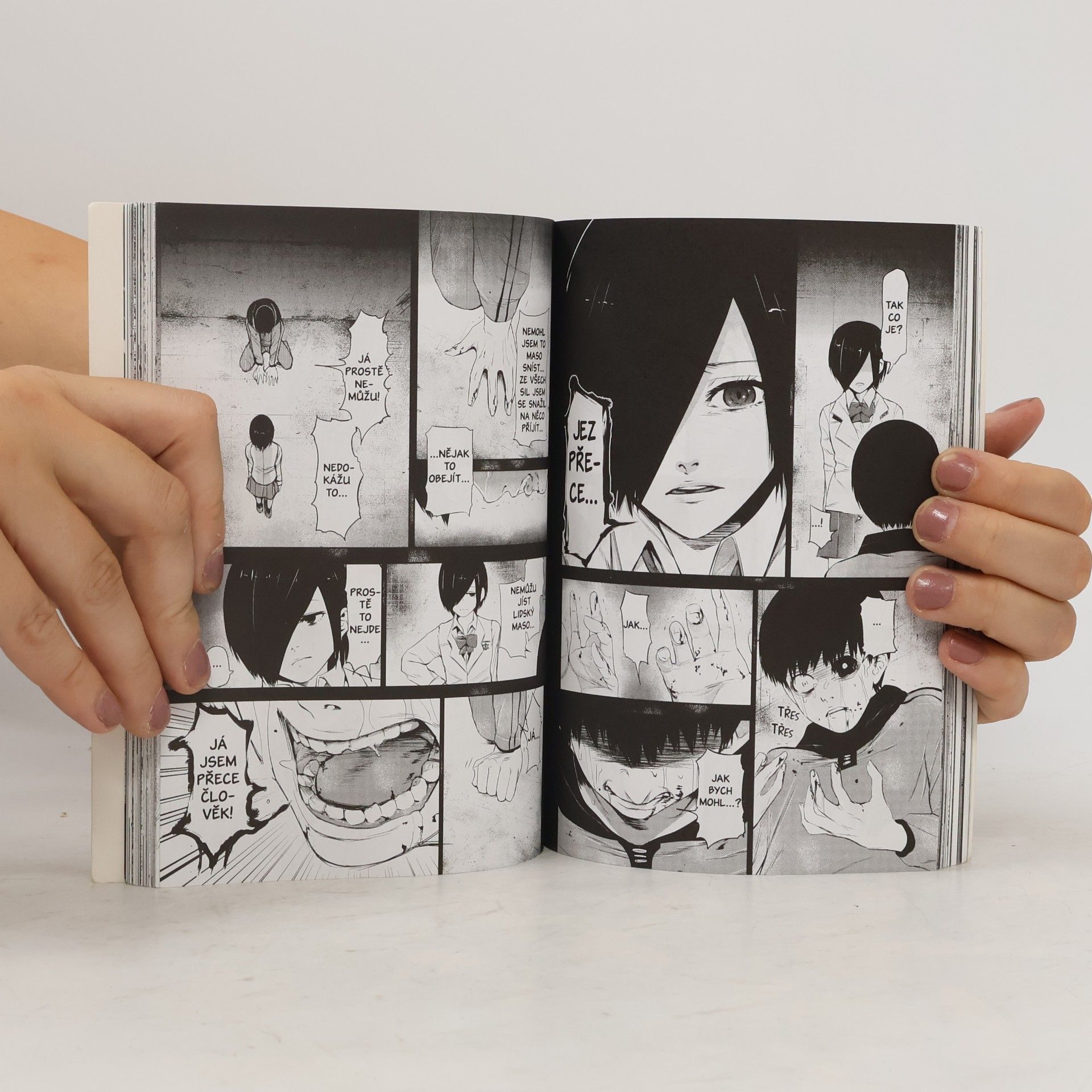 Sui Ishida Tokijský ghúl 1