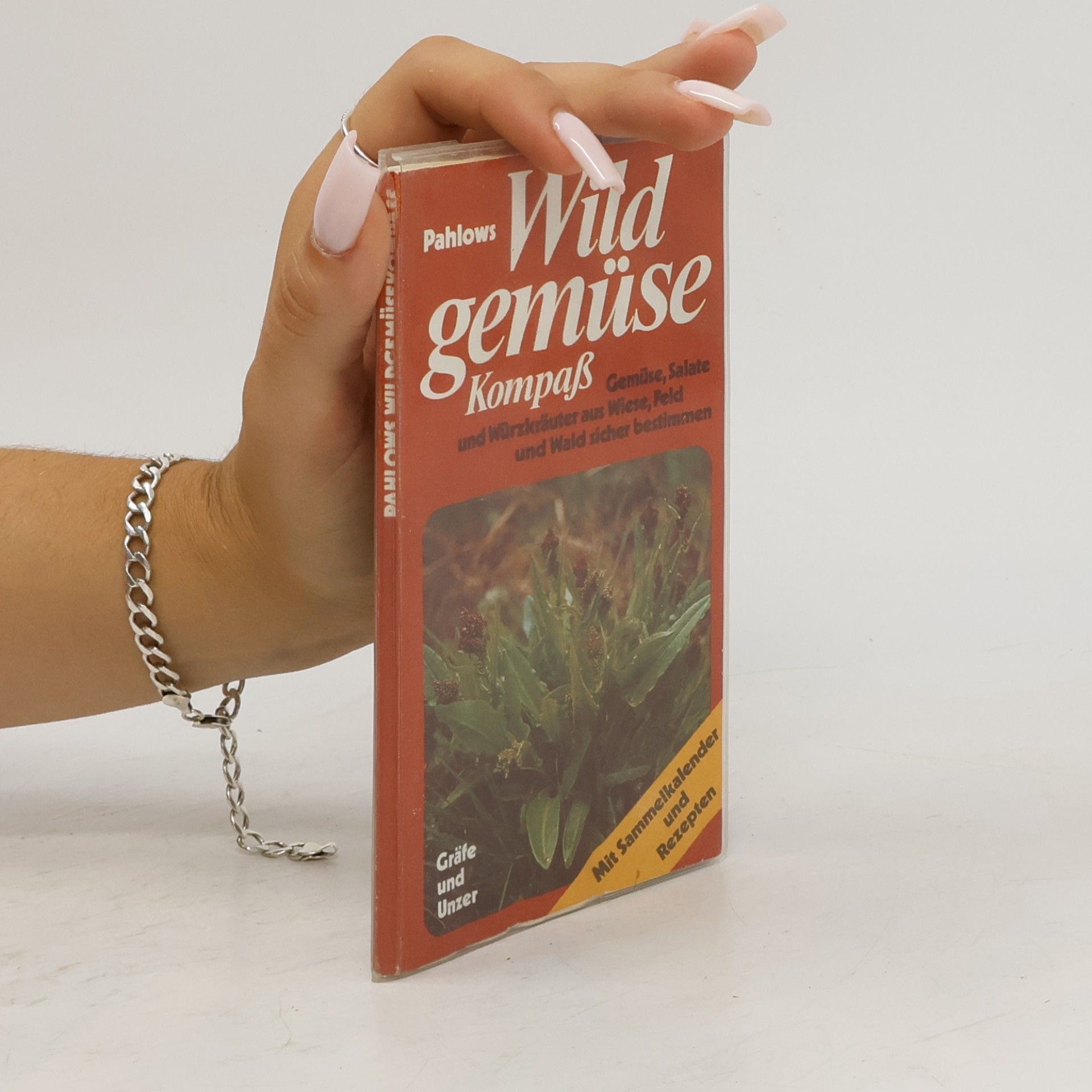 Pahlows Wildgemüse Kompaß
